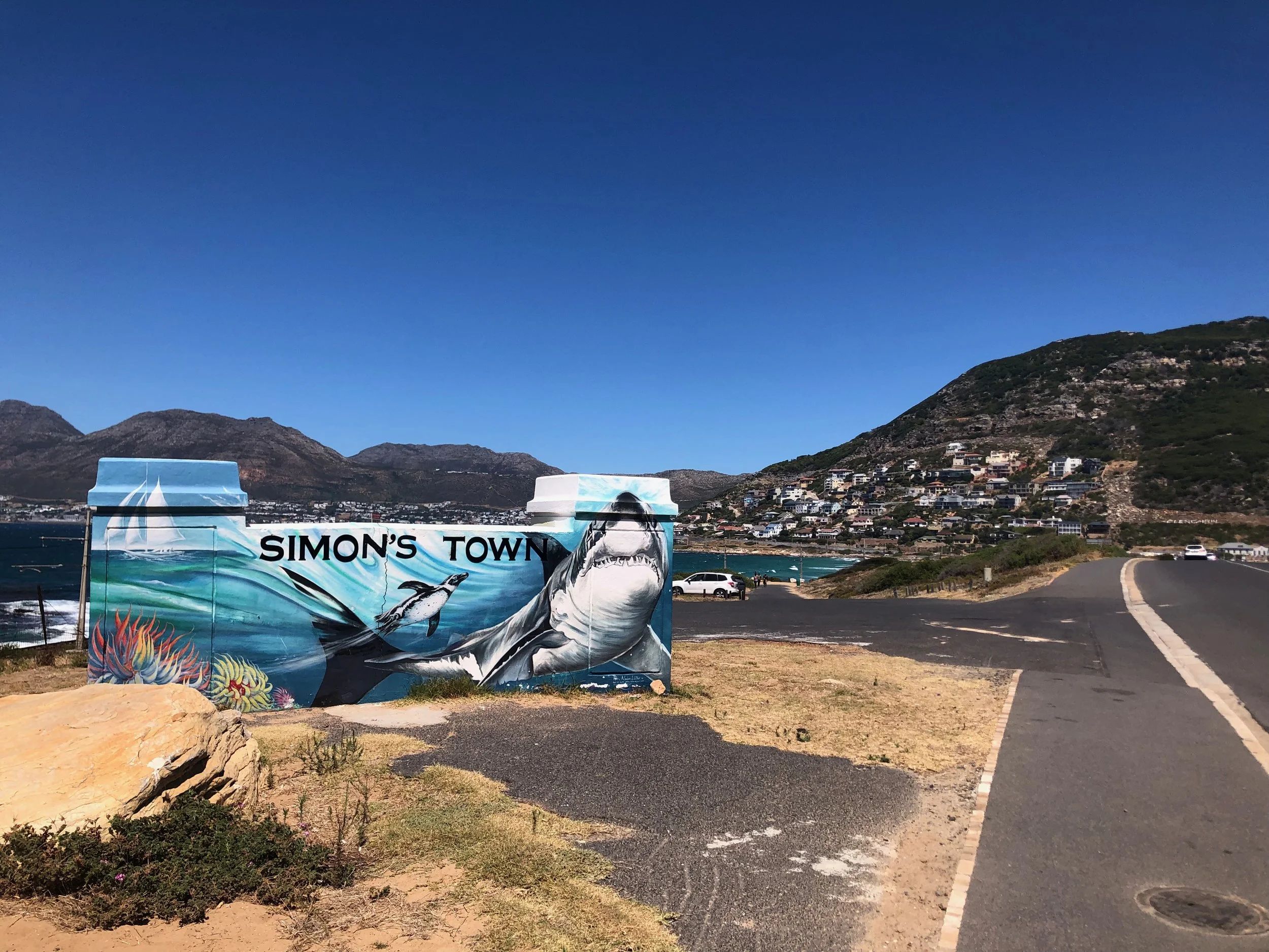 Colorful mural on a blue shipping container featuring marine life, including a shark and various fish, with the words 'Simon's Town' on it. The scene is set near the coast with mountains and houses in the background under a clear blue sky.
