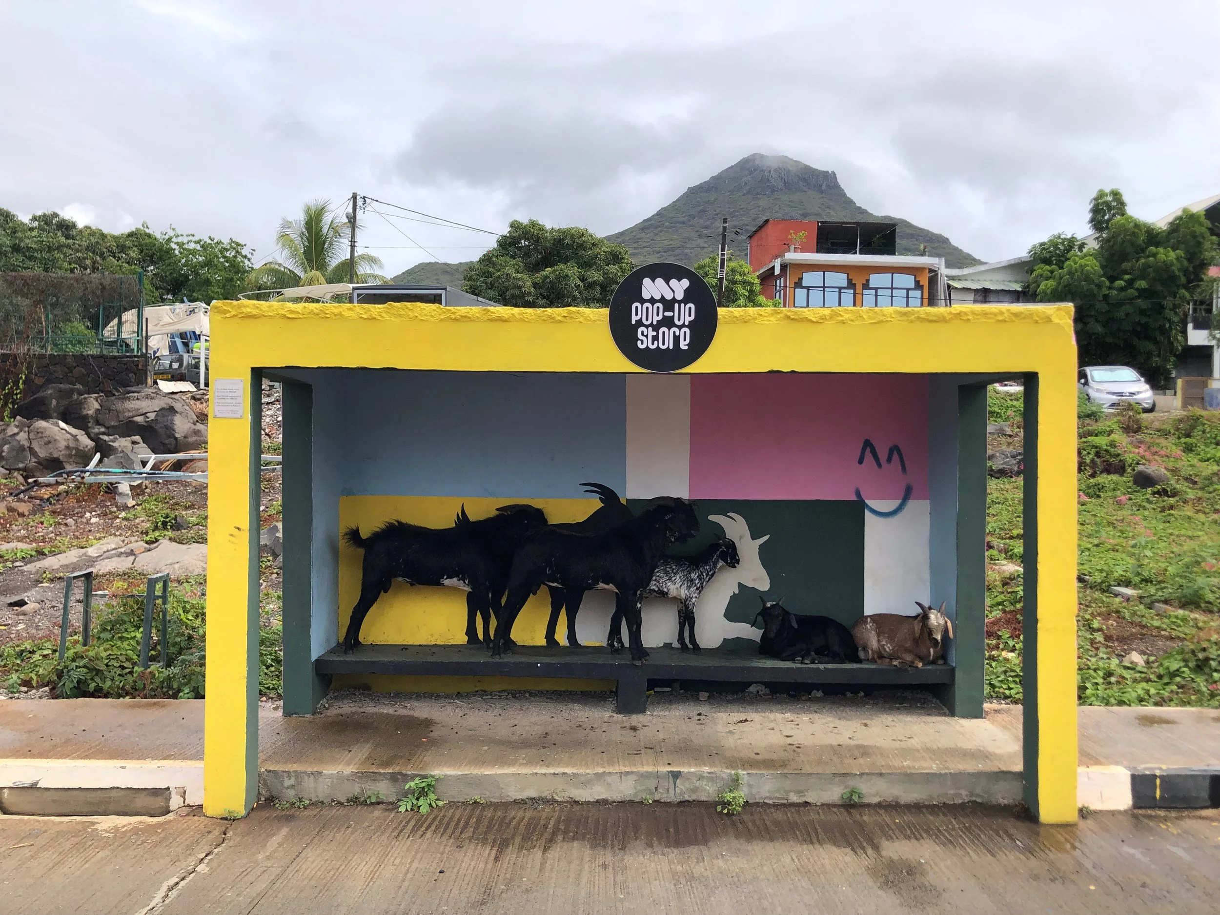 Colorful small open shelter with a yellow frame, painted with animal illustrations, houses several goats resting inside, with a mountain and trees in the background under cloudy sky.