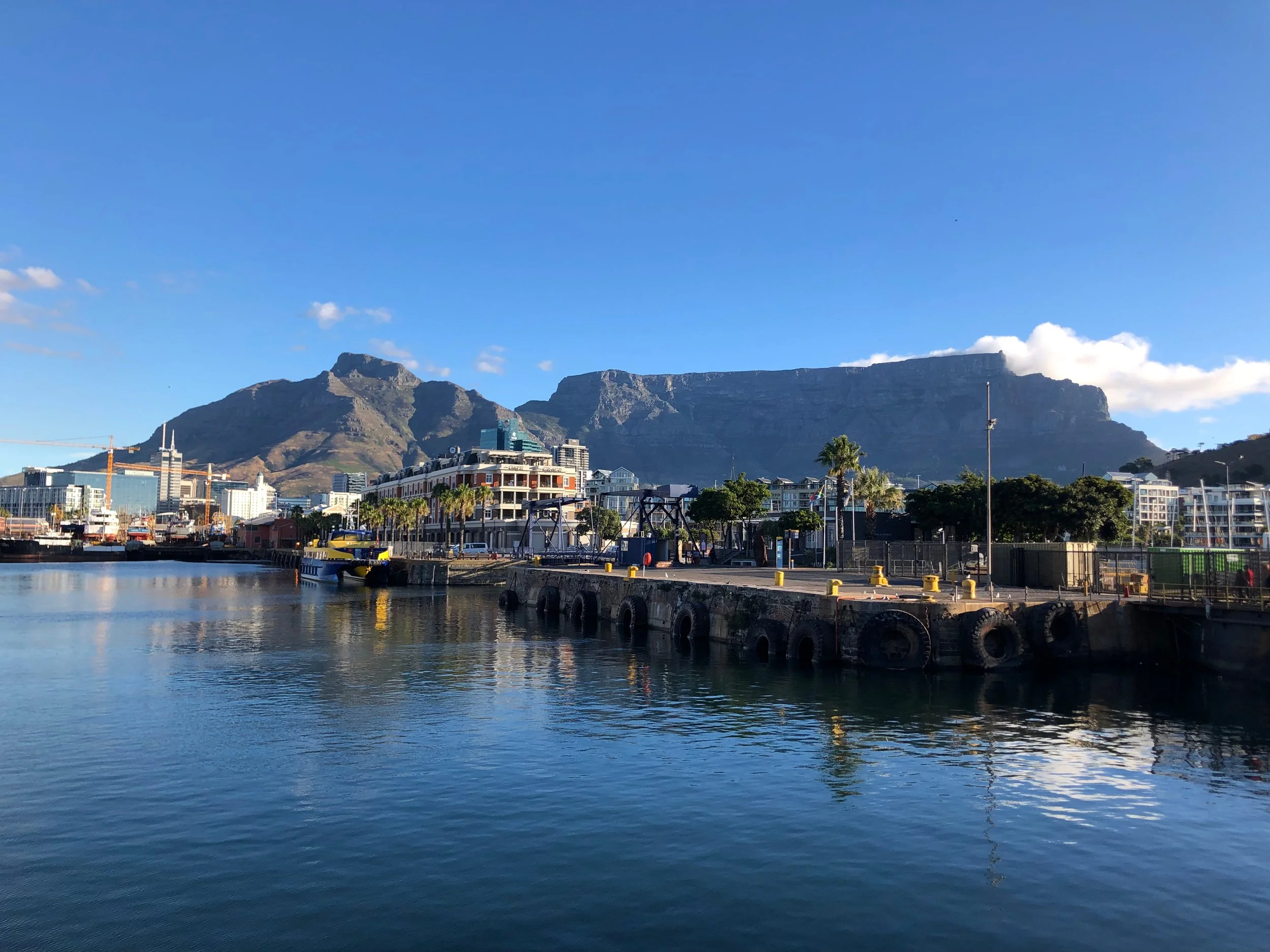 View of a city harbor with boats and a pier in the foreground, and skyscrapers and mountain in the background under a clear blue sky.