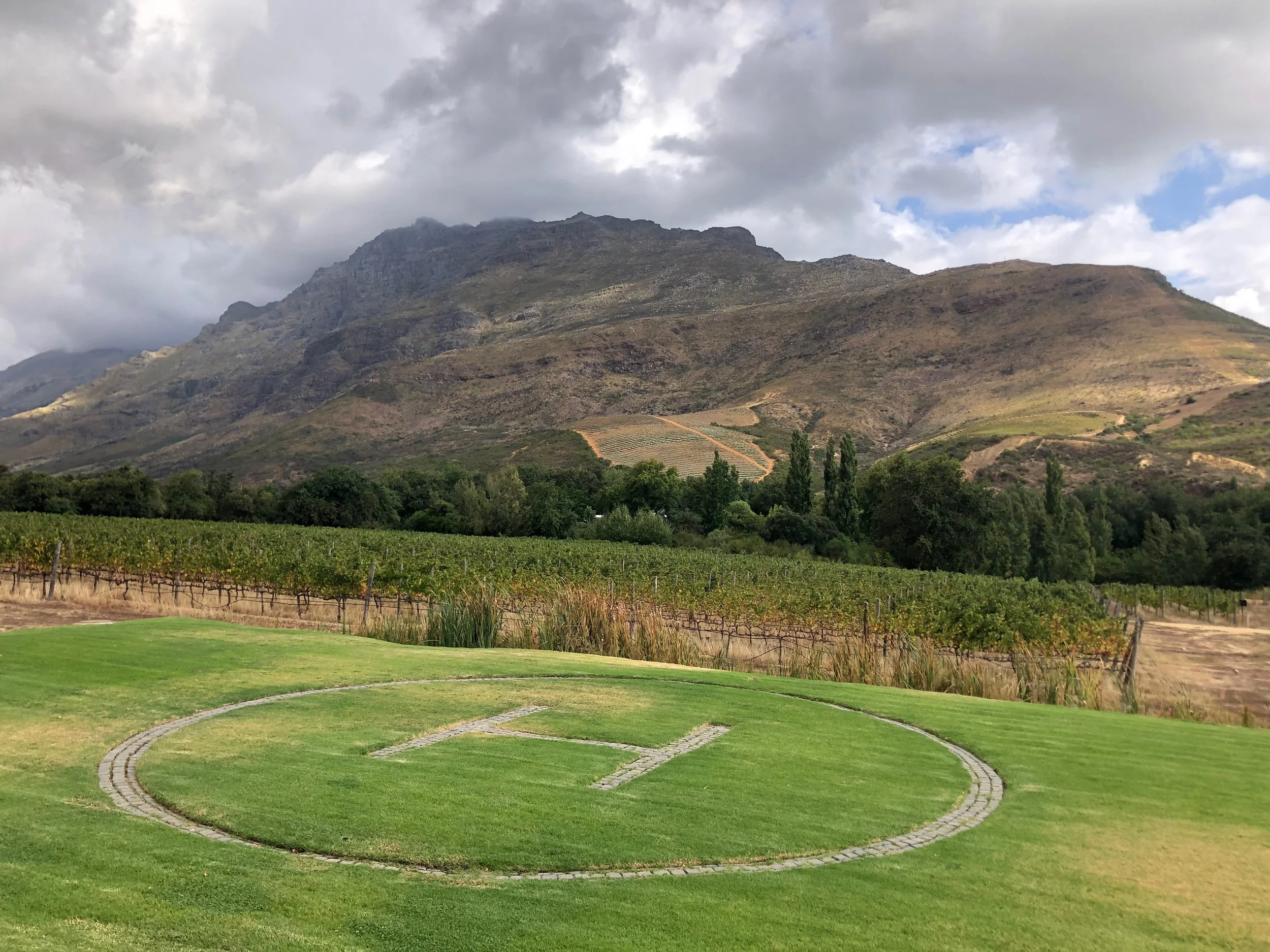 A grassy golf course with a circular pattern, leading toward a vineyard and a mountain range in the background under cloudy skies.