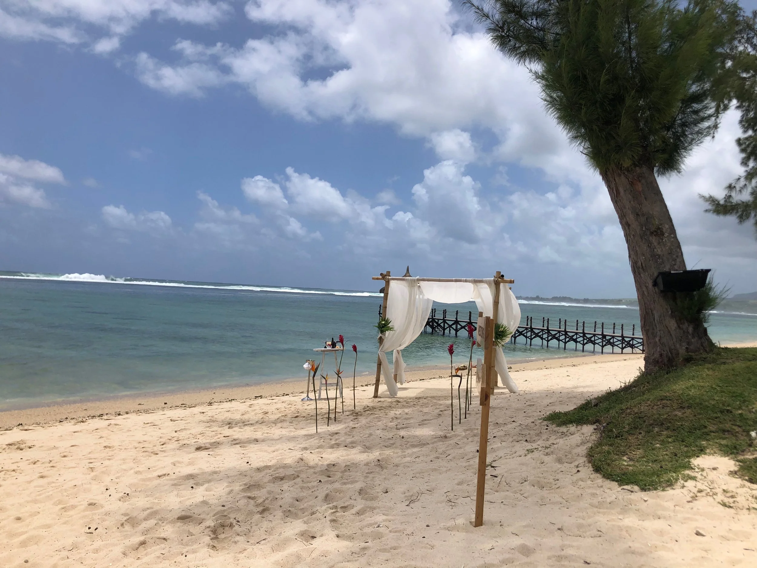 Beach scene with a large tree on the right, a wooden arch with white curtains in the center, and the ocean in the background under a partly cloudy sky.