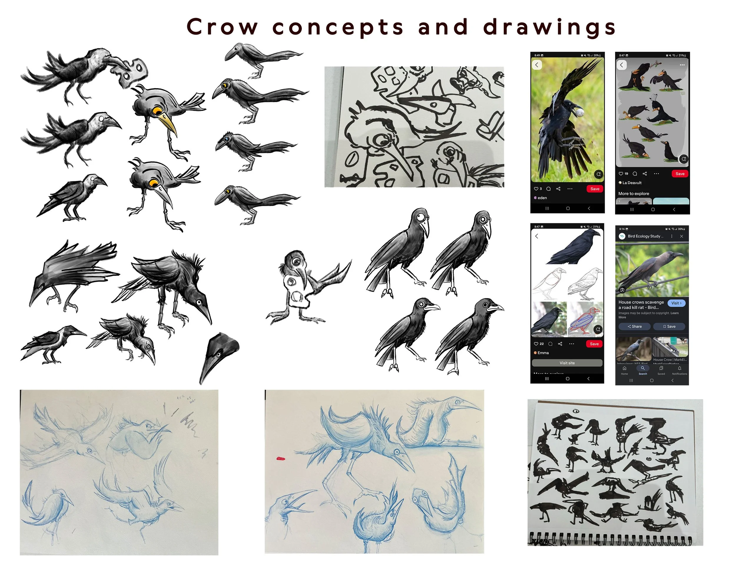 A presentation slide titled 'Crow concepts and drawings' displays various sketches and drawings of crows and their study process, including traditional sketches, digital recreations, and stylized versions.