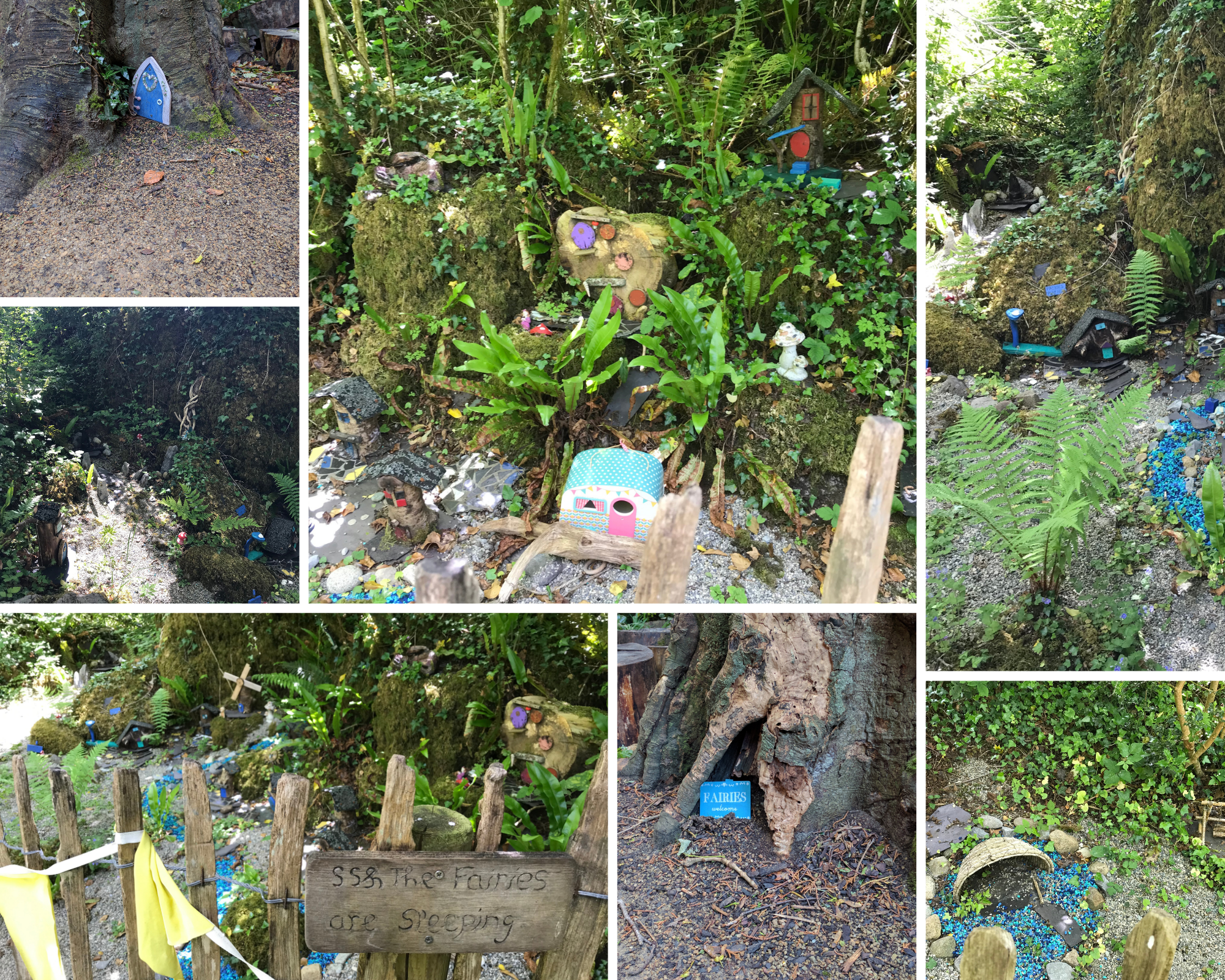 Irish Fairies and the Otherworld in Of Gods and Monsters