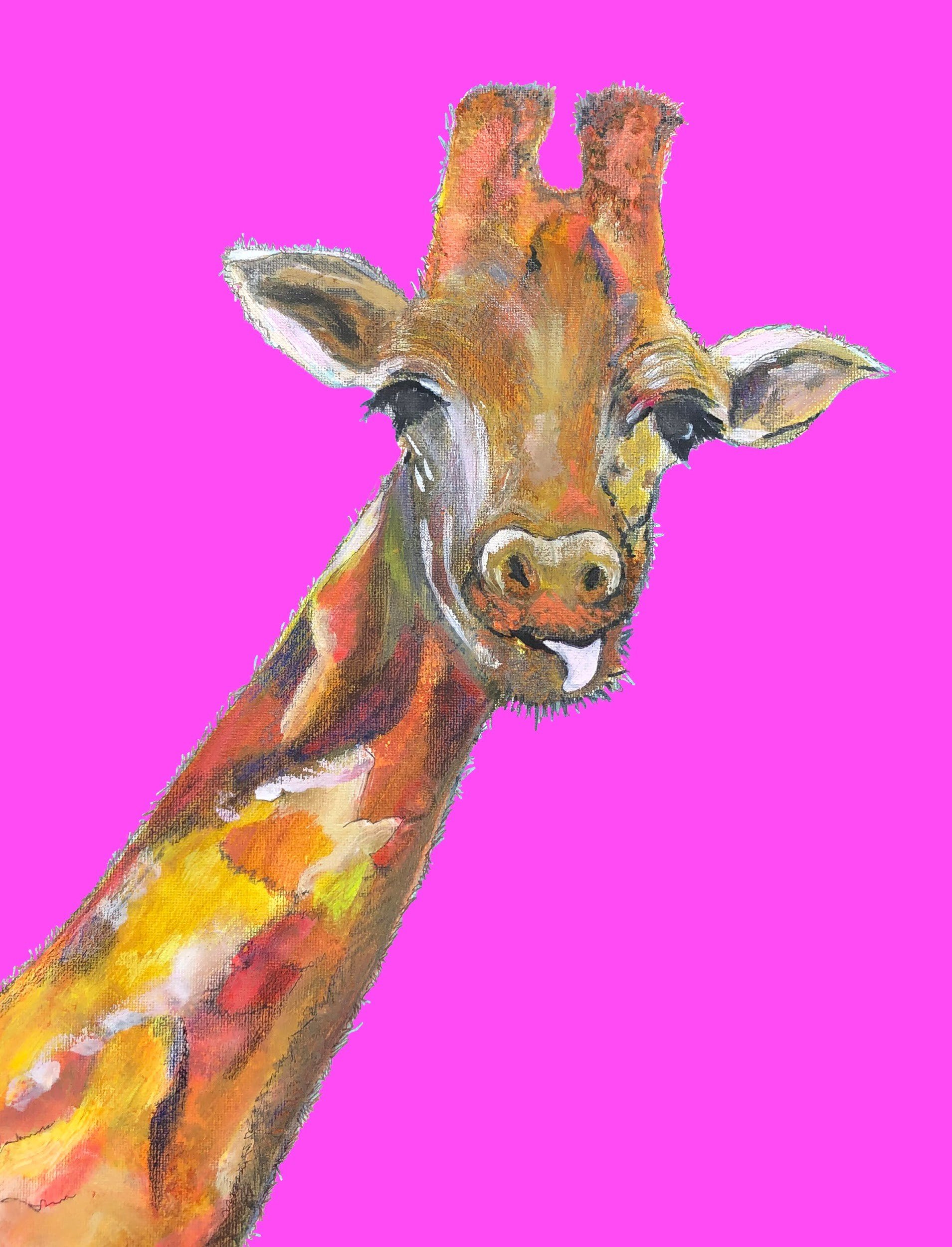 Animal Selfies