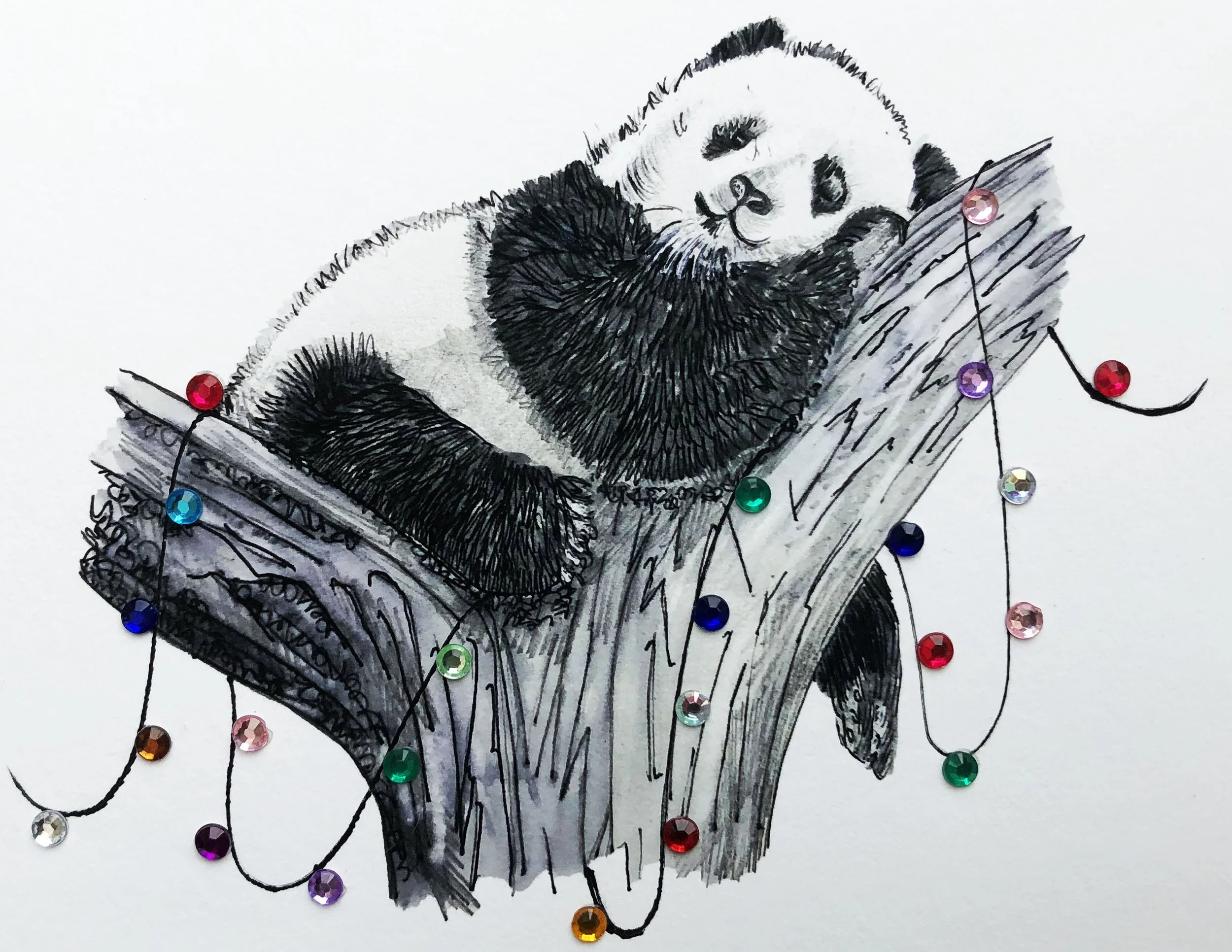Panda.jpg