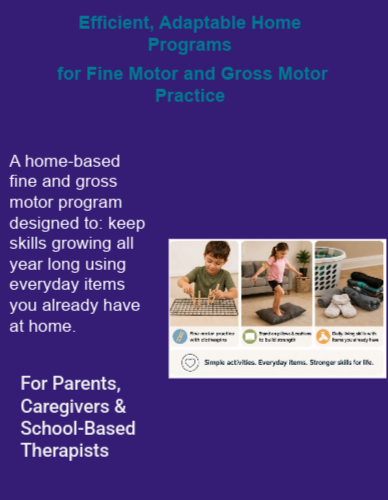 Efficient, Adaptable Home Programs Workshop and Activities- Bundle