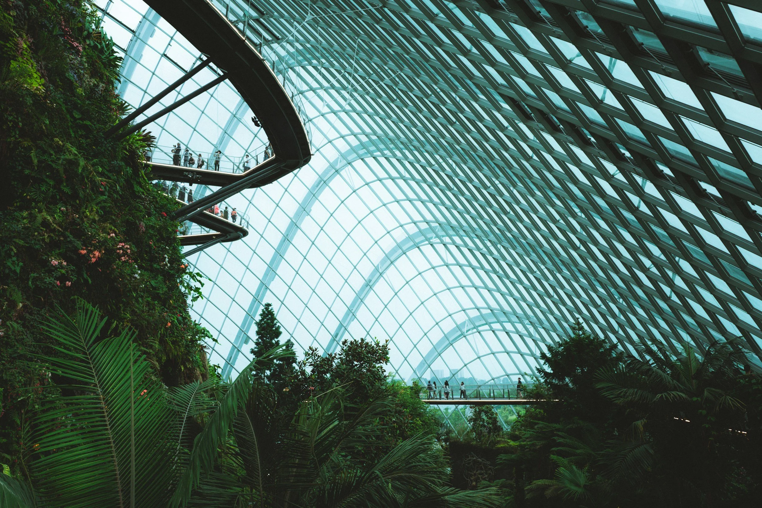 View of the indoor garden at the Jewel Changi Airport in Singapore, featuring lush green plants and trees with a glass and steel dome ceiling, and walkways with people walking.