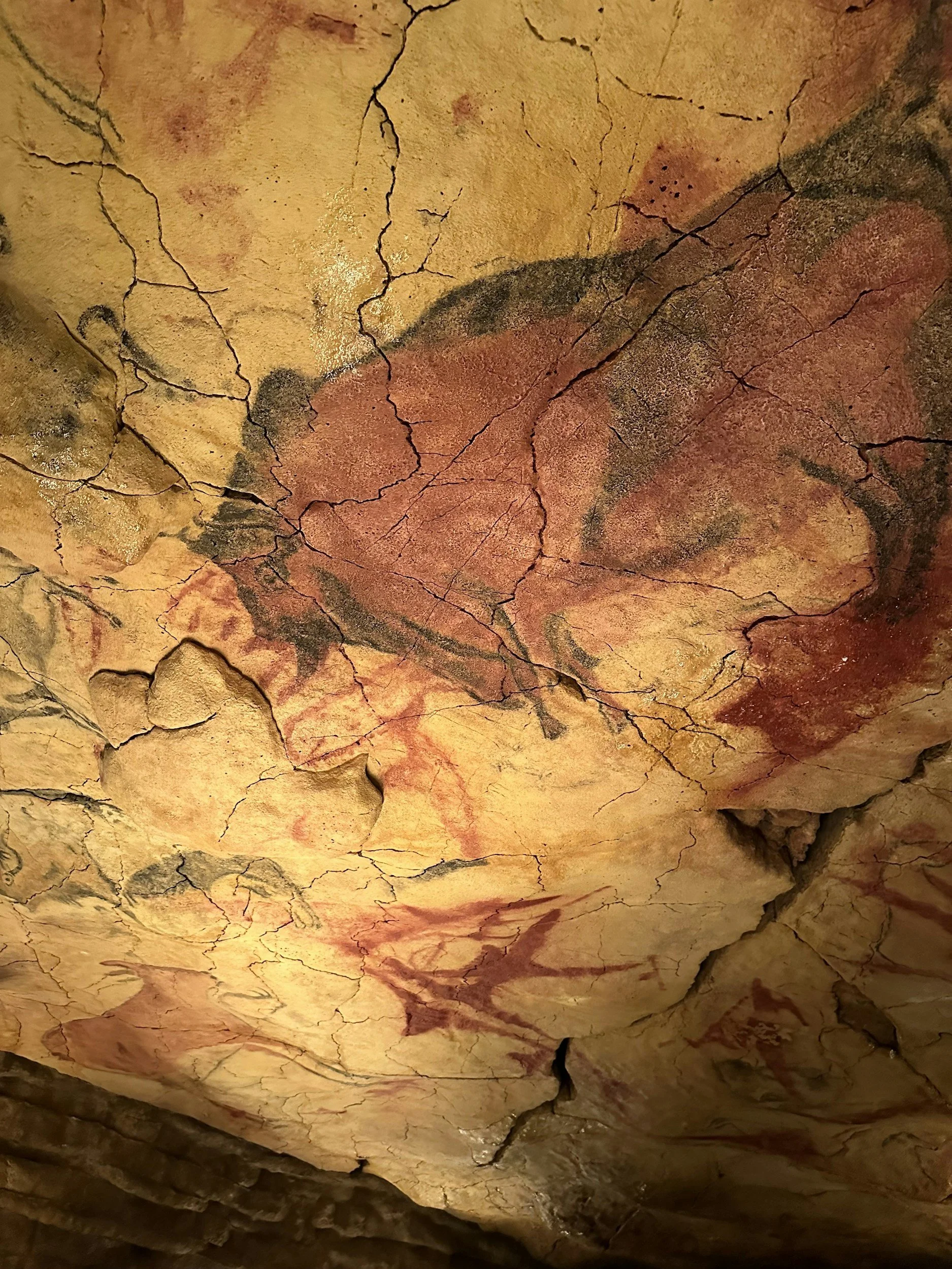Close-up view of a cave ceiling with colorful mineral deposits and visible cracks in the rock.