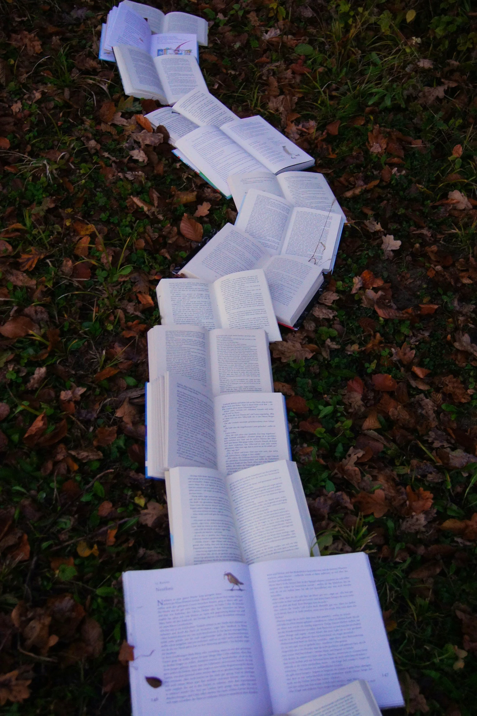 Multiple open books with printed text and illustrations lying on the ground among fallen leaves and grass.