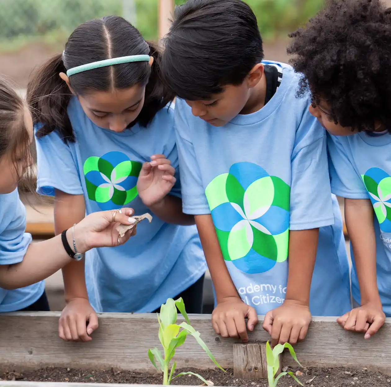 A group of children wearing matching blue shirts with a green and blue logo, leaning over a wooden planter box, observing young plants with an adult showing them a small item.