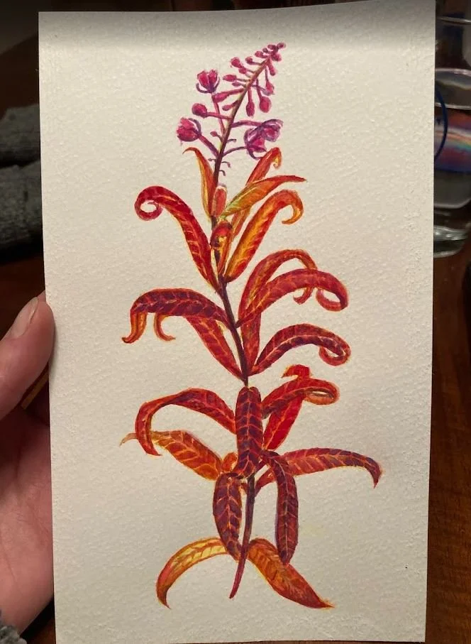 watercolor 3.JPG