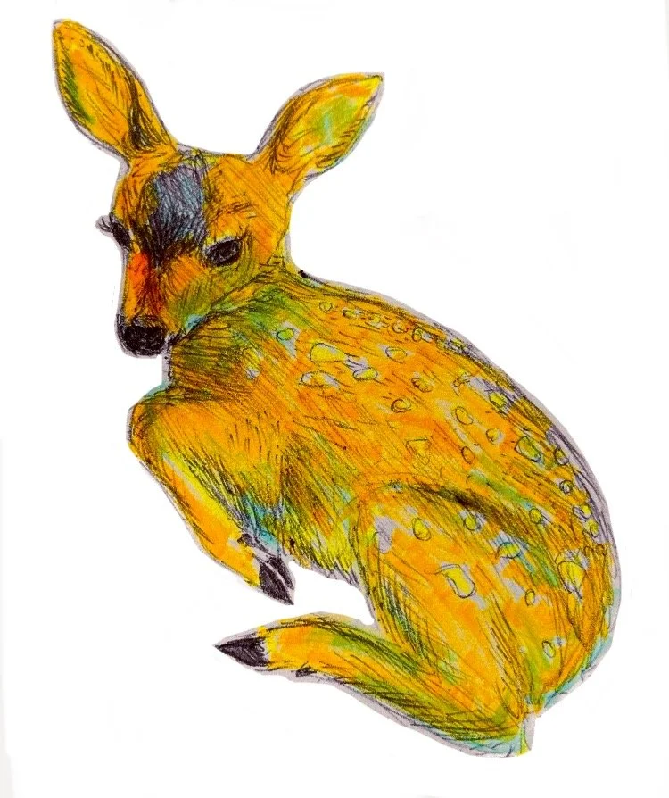 sketch 16.jpg
