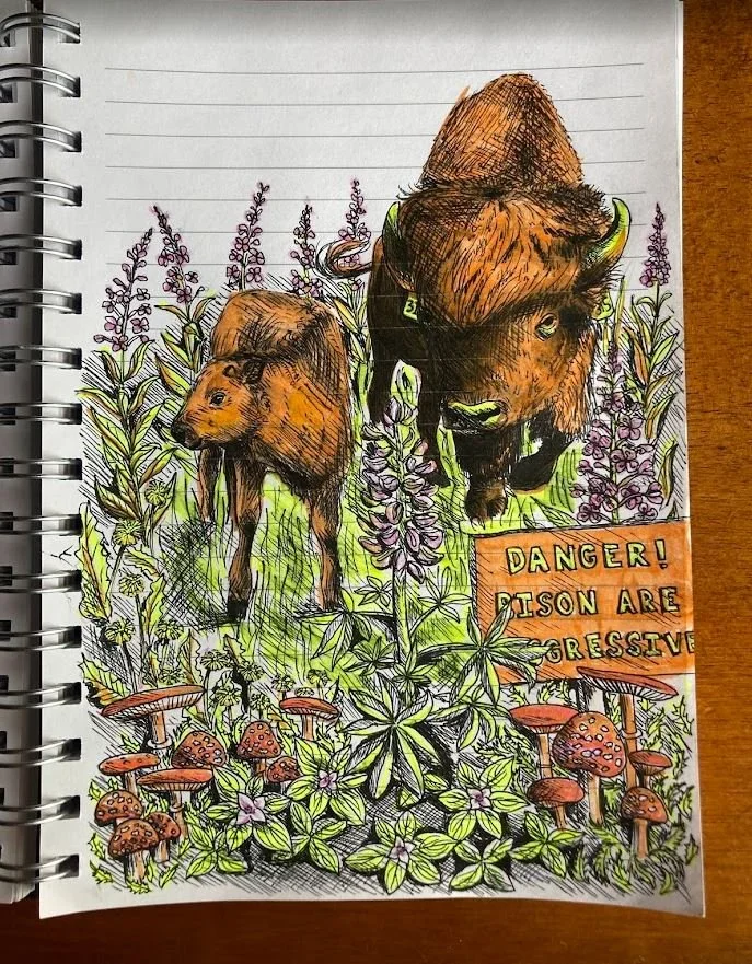 sketch 10.JPG