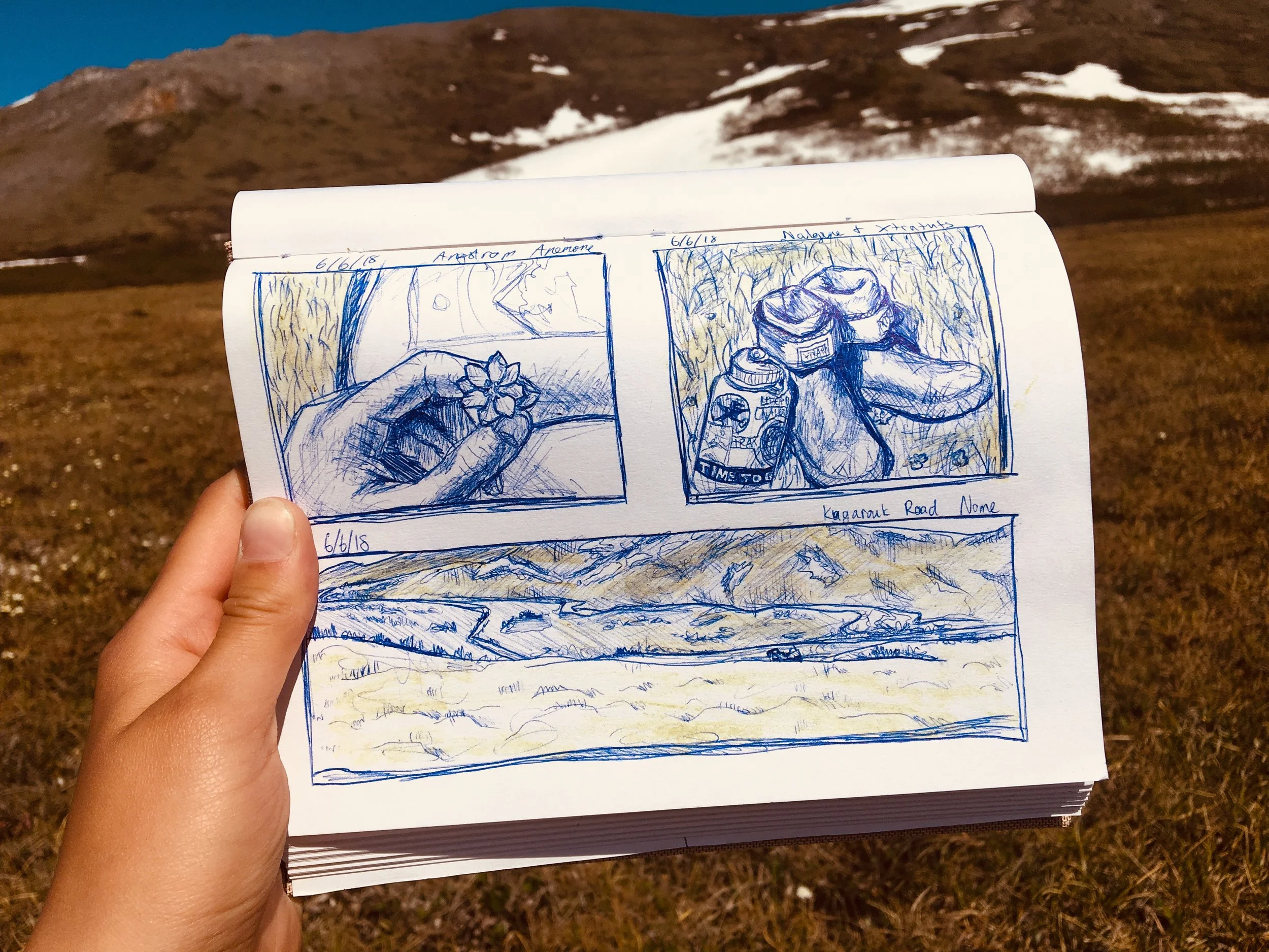 sketch 1.JPG