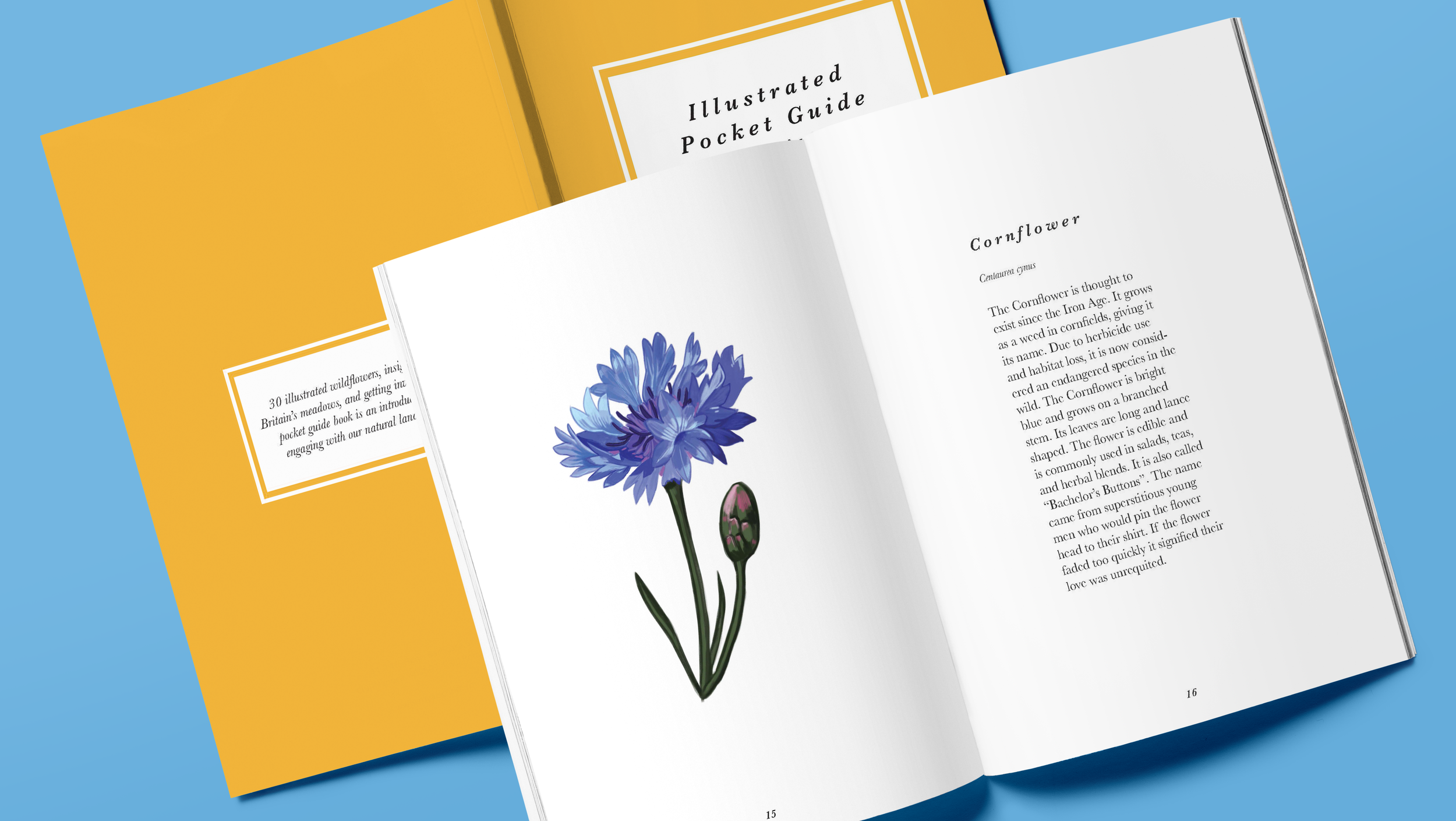 Pocket Guide to British Wildflowers