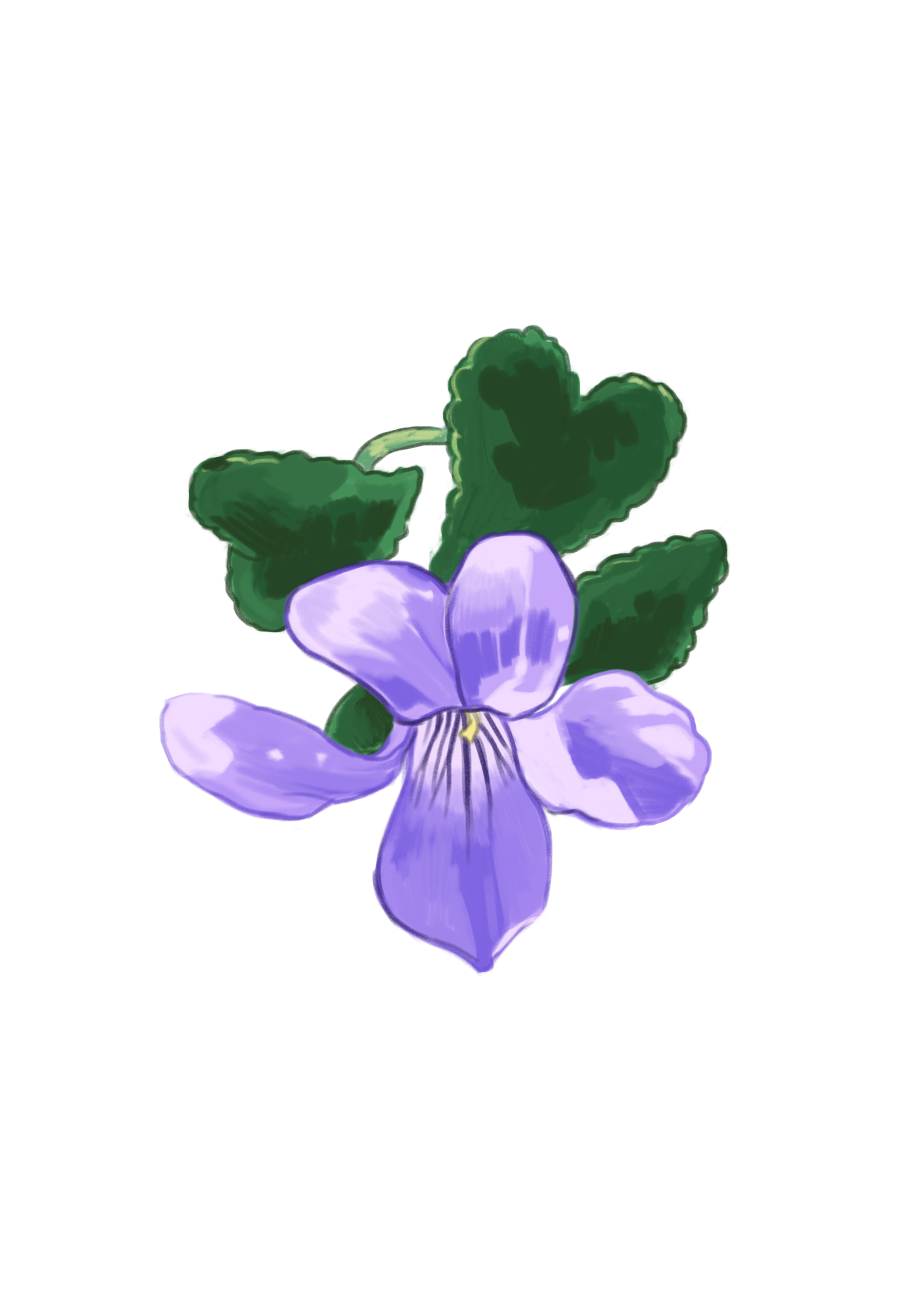 heathdogviolet.png
