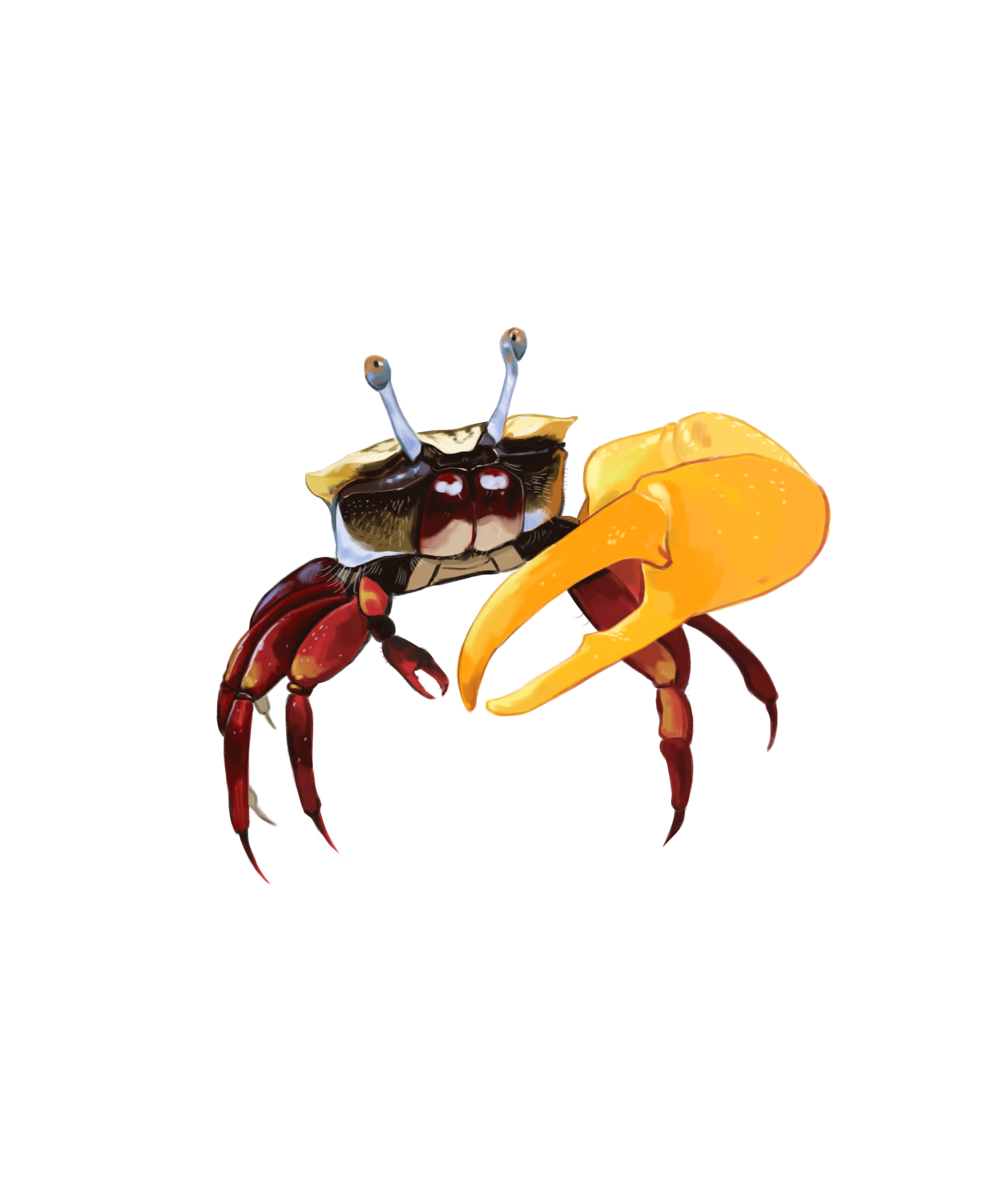 Crab.png