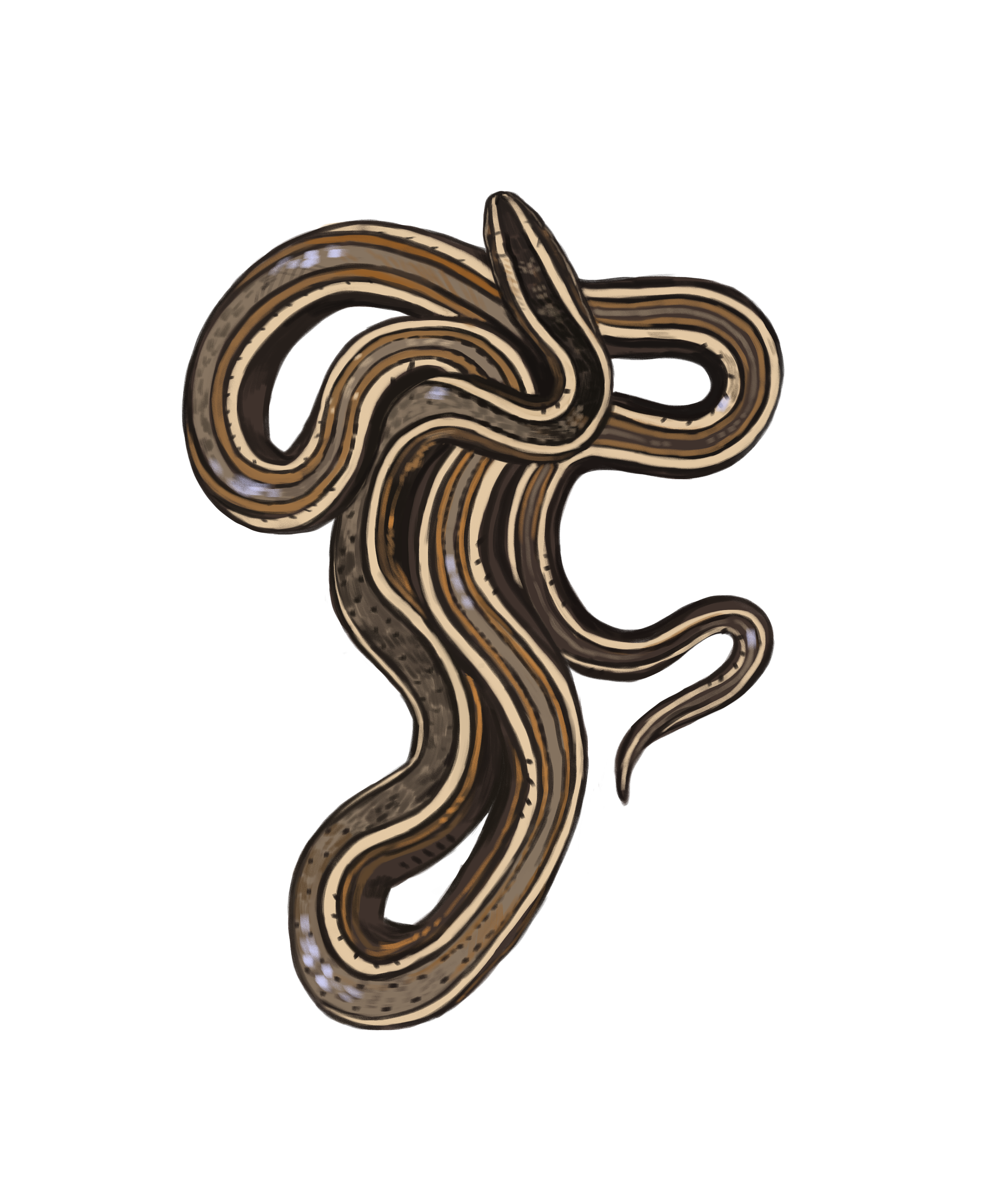Snake.png