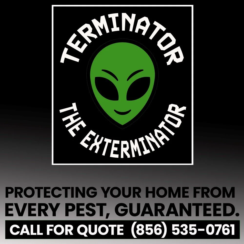 TTE-CubeImages-Logo-v1-m1-web.jpg