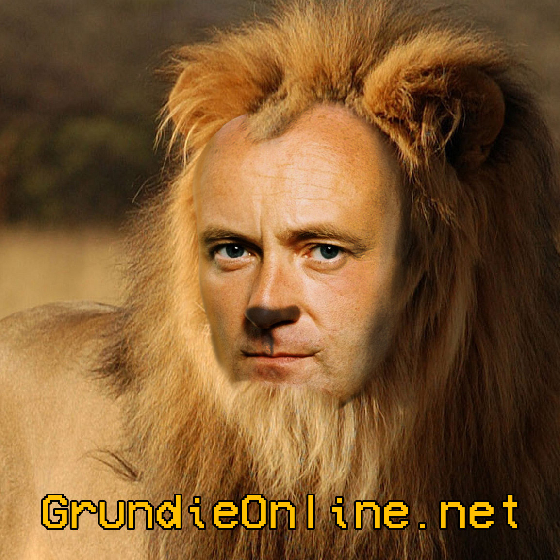 collions.png