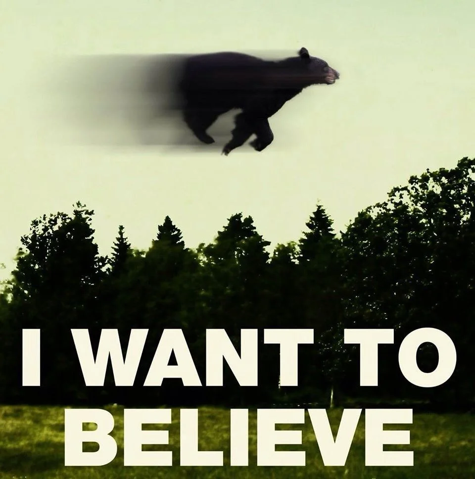 FLYING BEAR.jpg