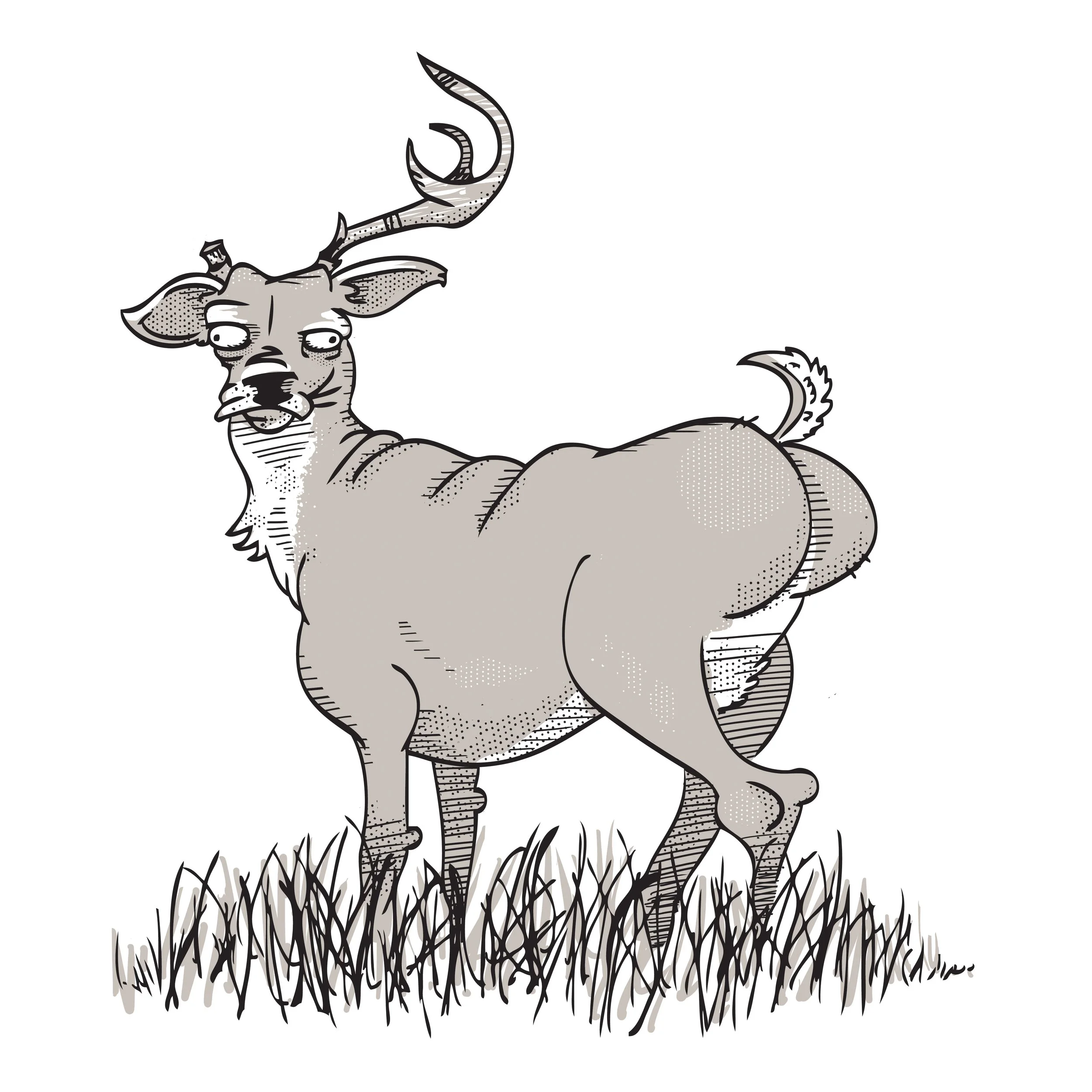 deer.jpg