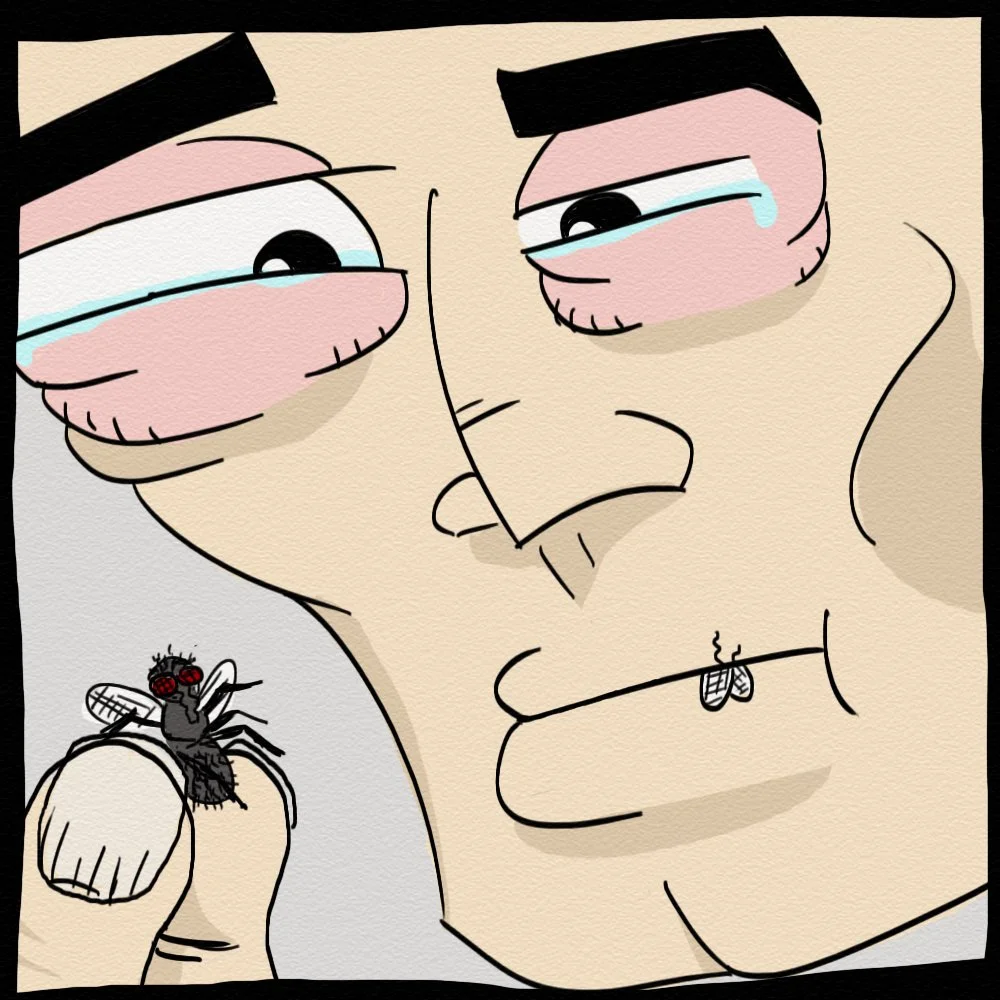 eat fly.jpg