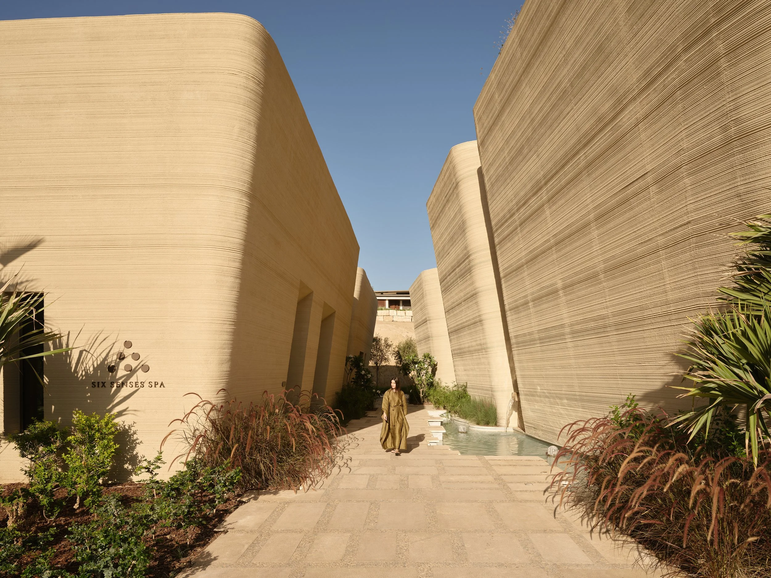 _DSF7618.jpg