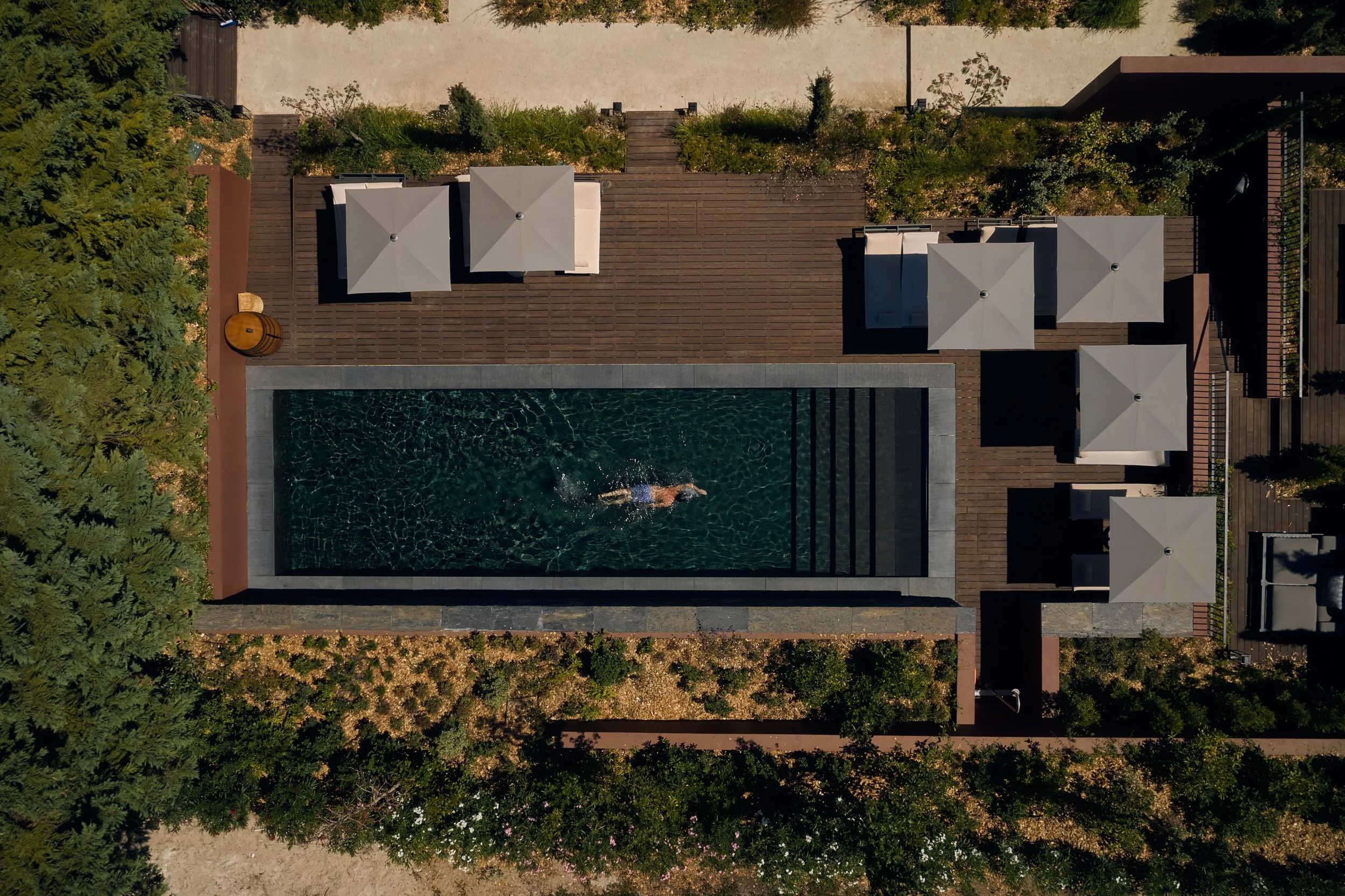 DJI_0459.jpg