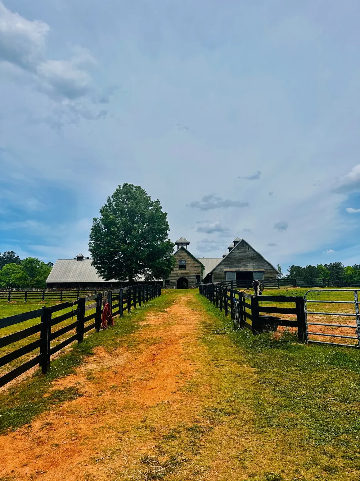 barn pathway.webp