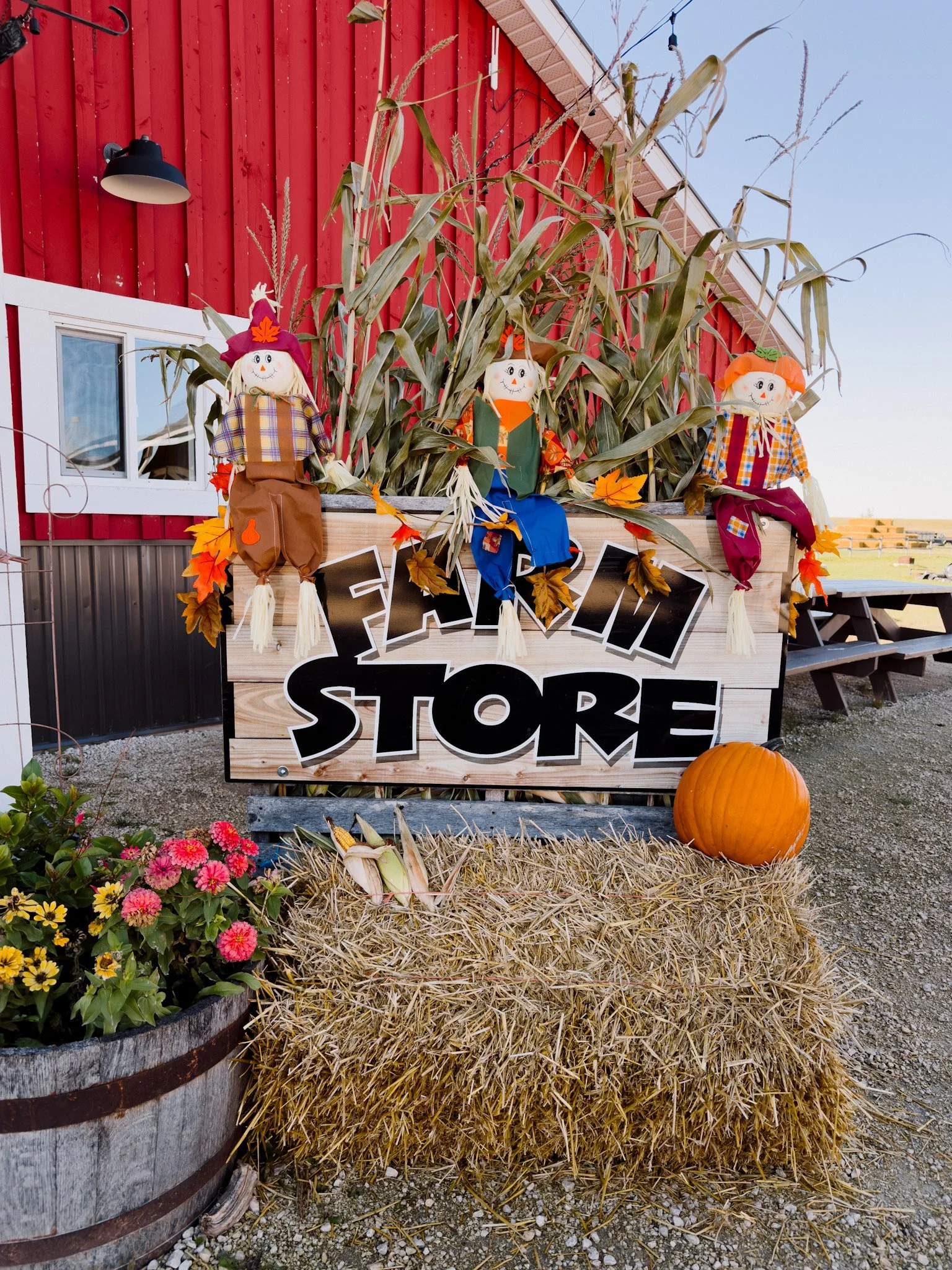 Decorative fall display with hay bales, a pumpkin, colorful flowers, and scarecrows in front of a red barn-style building.