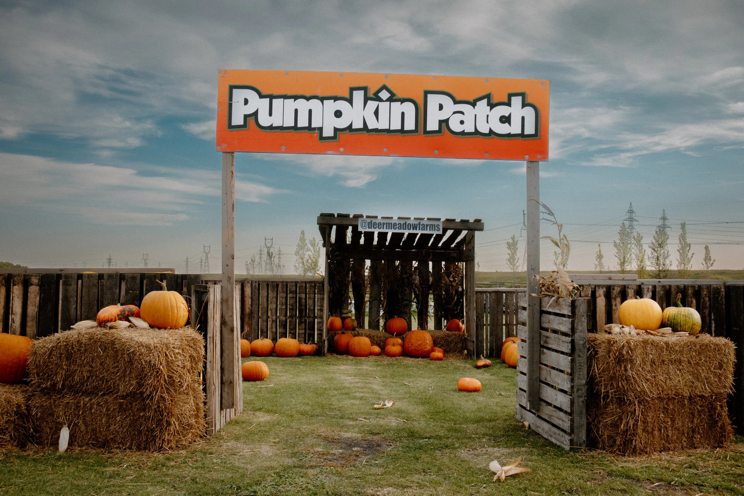 Pumpkin Patch sign above display of pumpkins and hay bales in an outdoor farm setting with a wooden fence and trees in the background.