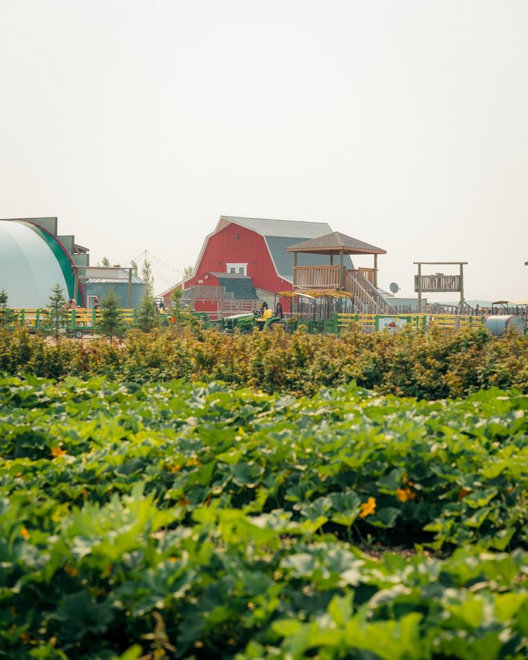 Deer Meadow Farms | Discover Farm Fun Today