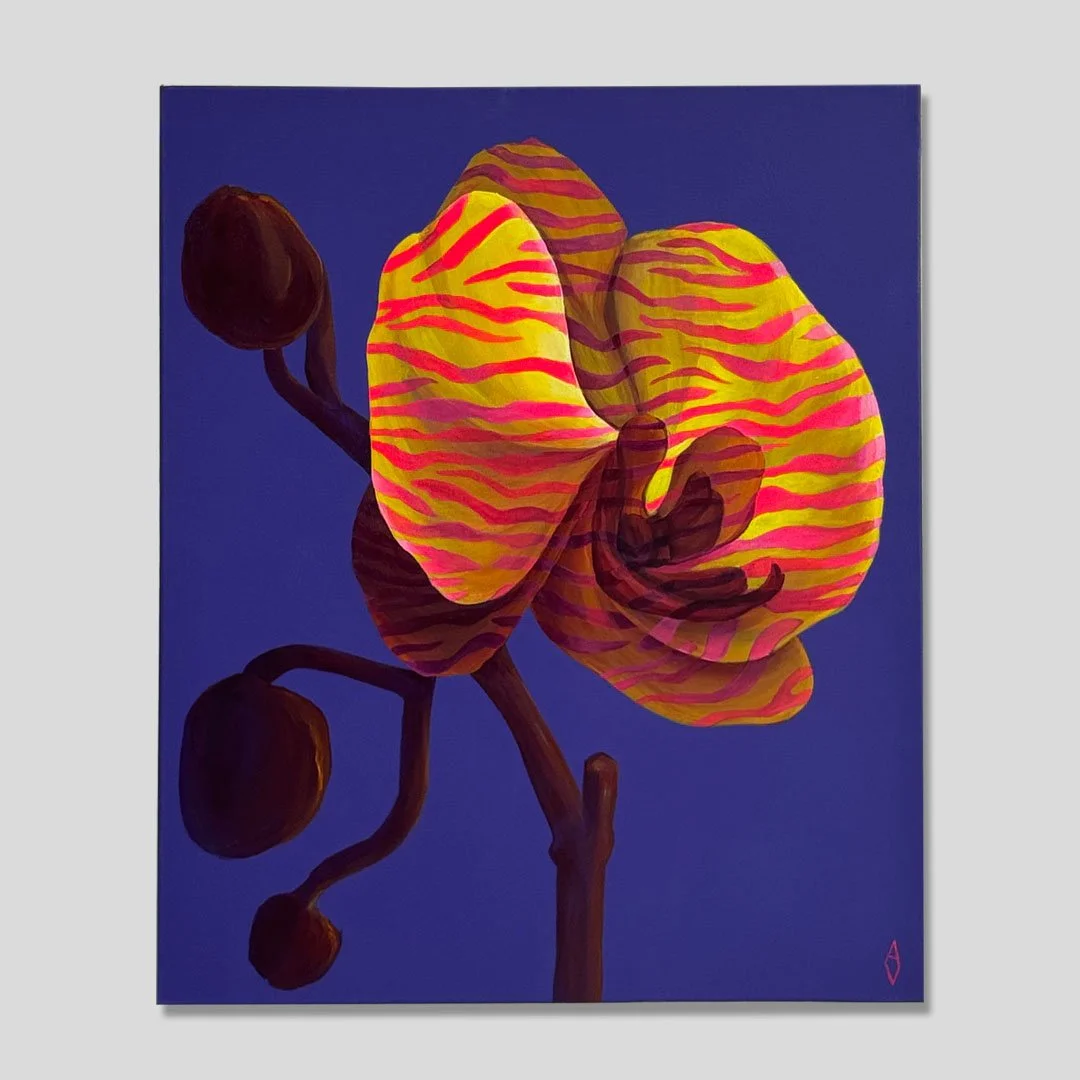 Wild Orchid — yellow and pink tiger-striped orchid bloom against a deep cobalt blue background, acrylic on canvas