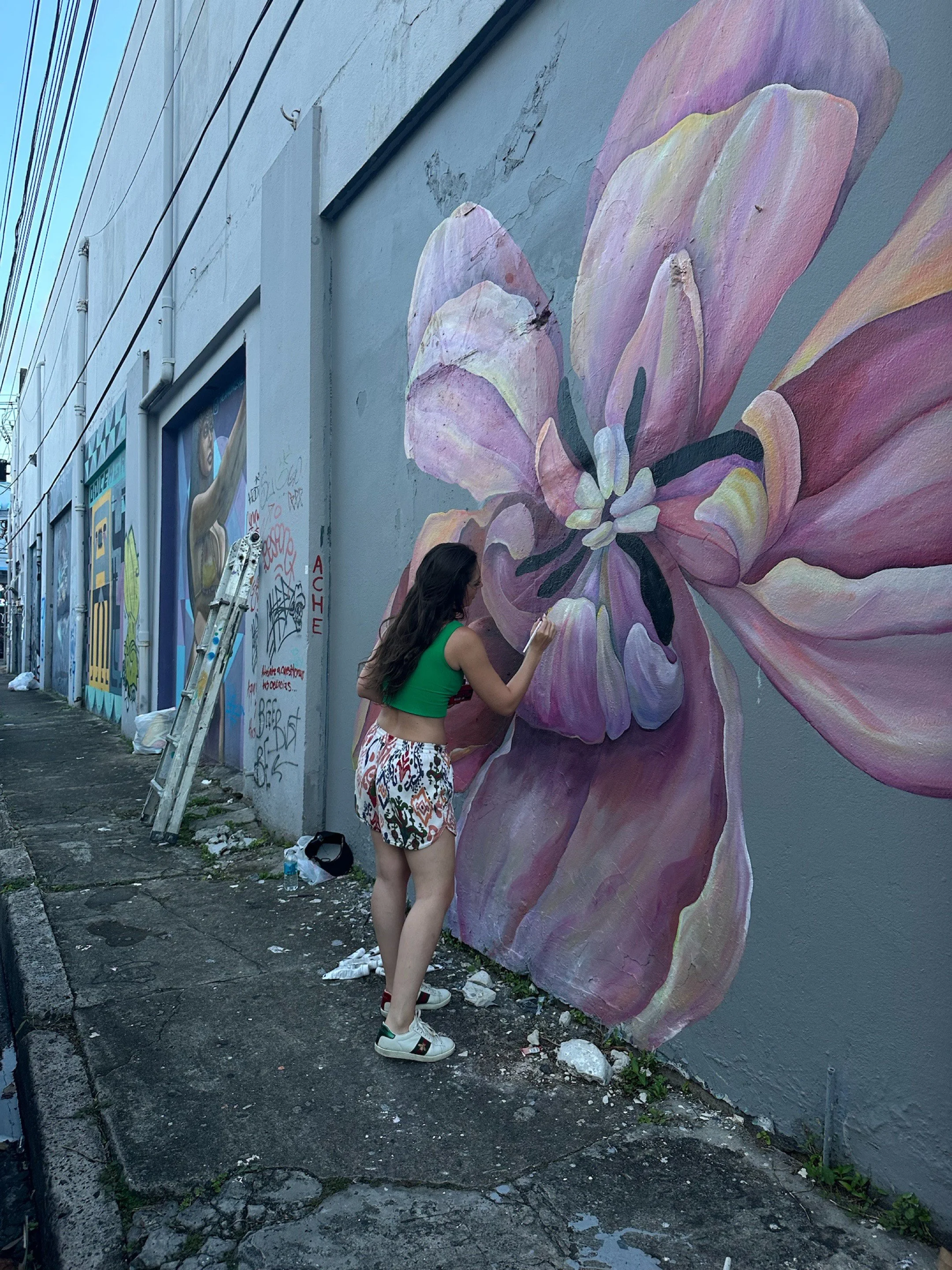 AnnaV painting a large-scale flower mural in a Puerto Rico alley, with other street art visible down the block
