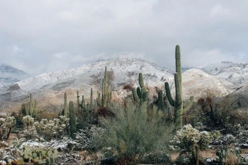 Desert.jpg