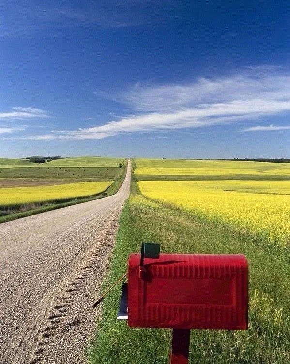 Farm Road.jpeg