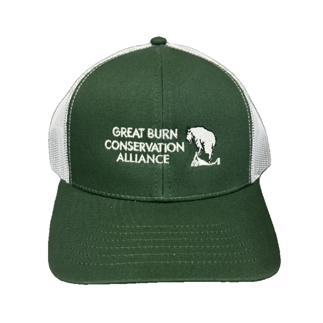 Embroidered Mesh-Back Baseball Cap