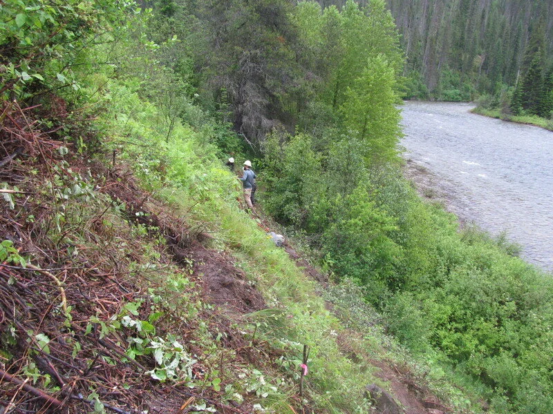 img-0010.jpg