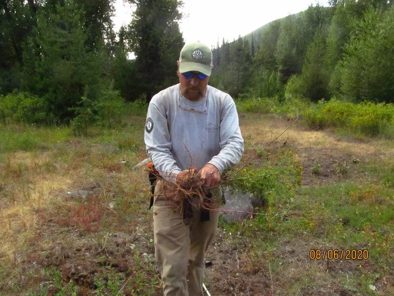deercrmd-monitoring-13.jpg