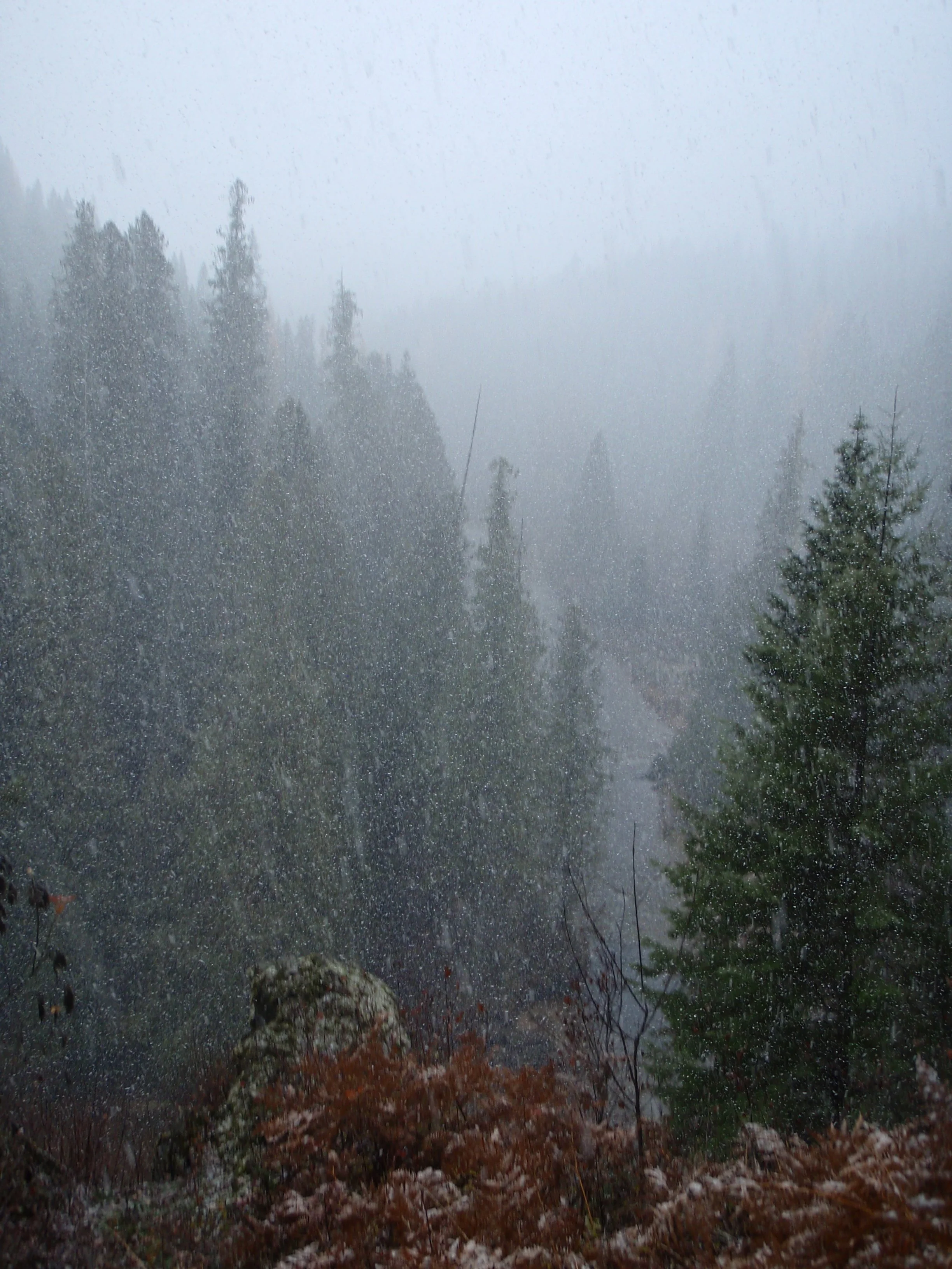PA260006.JPG