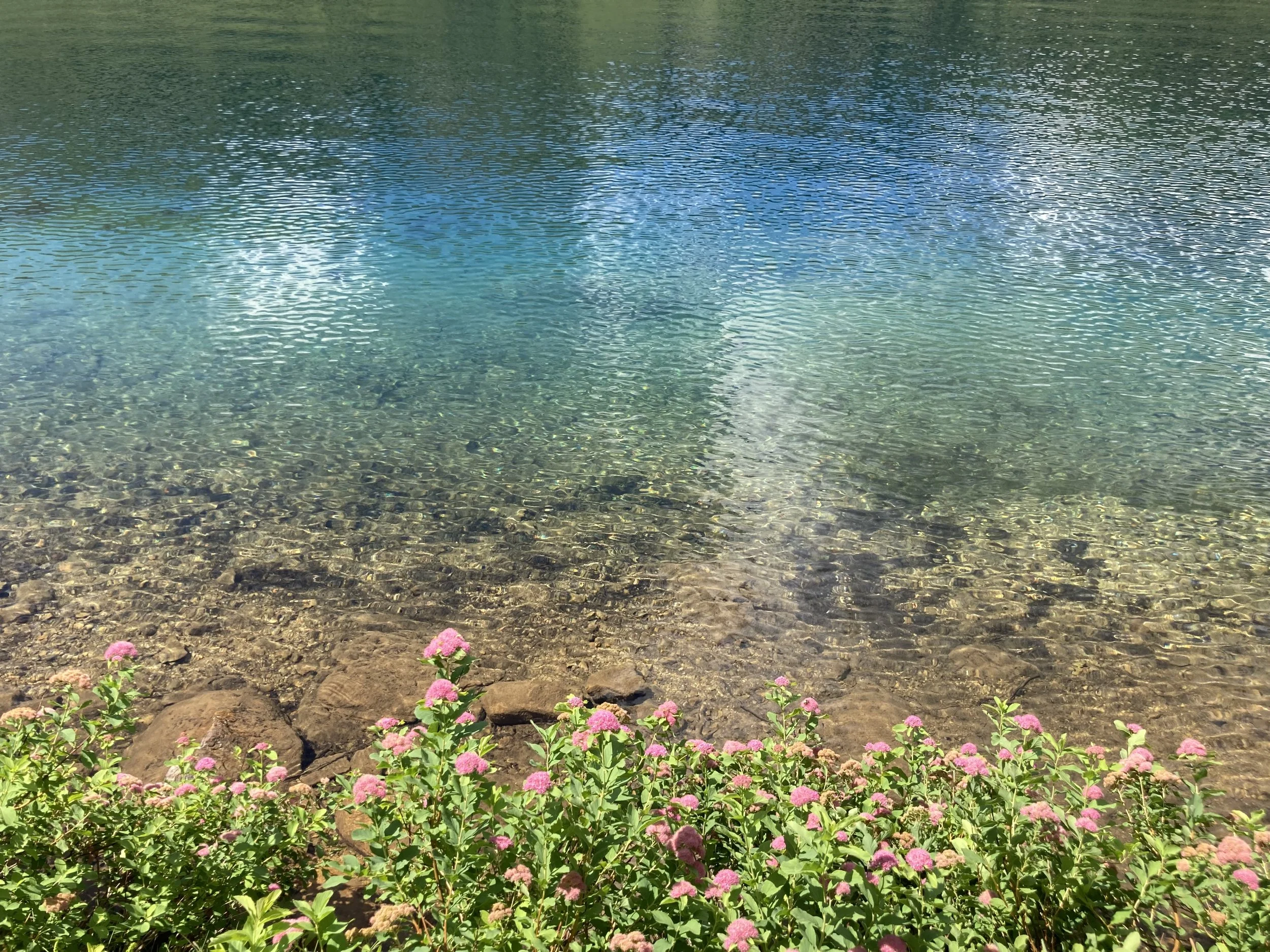IMG_4304.jpeg
