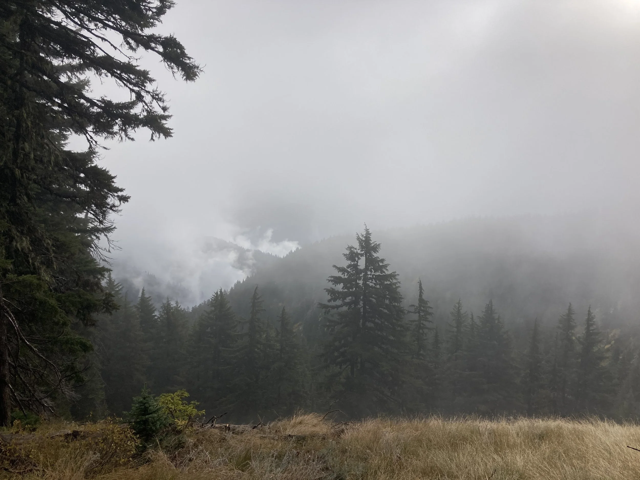 elizabeth_mtn_445.jpg