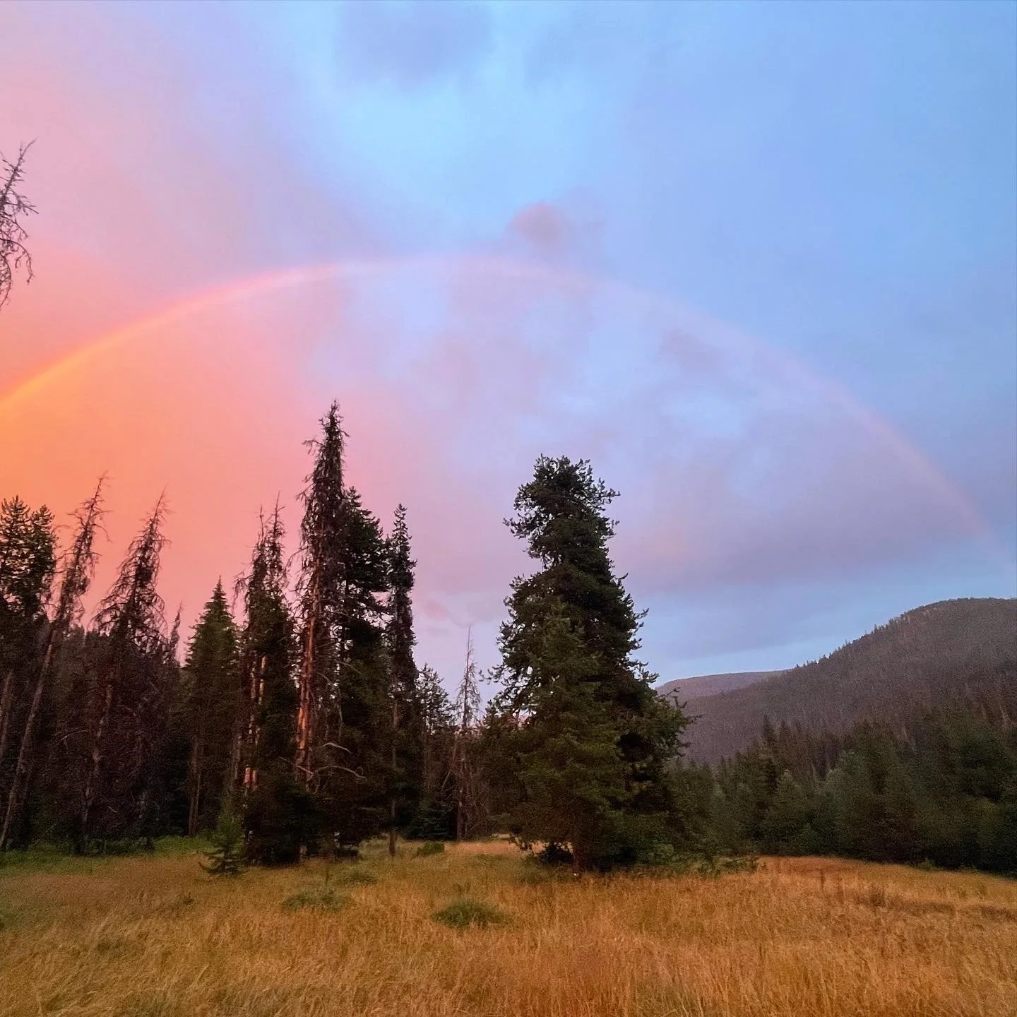 HansonMeadows_Rainbow.jpg
