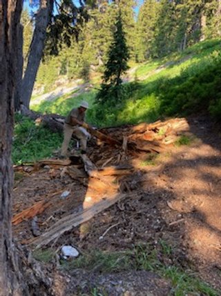 IMG_7203.jpg