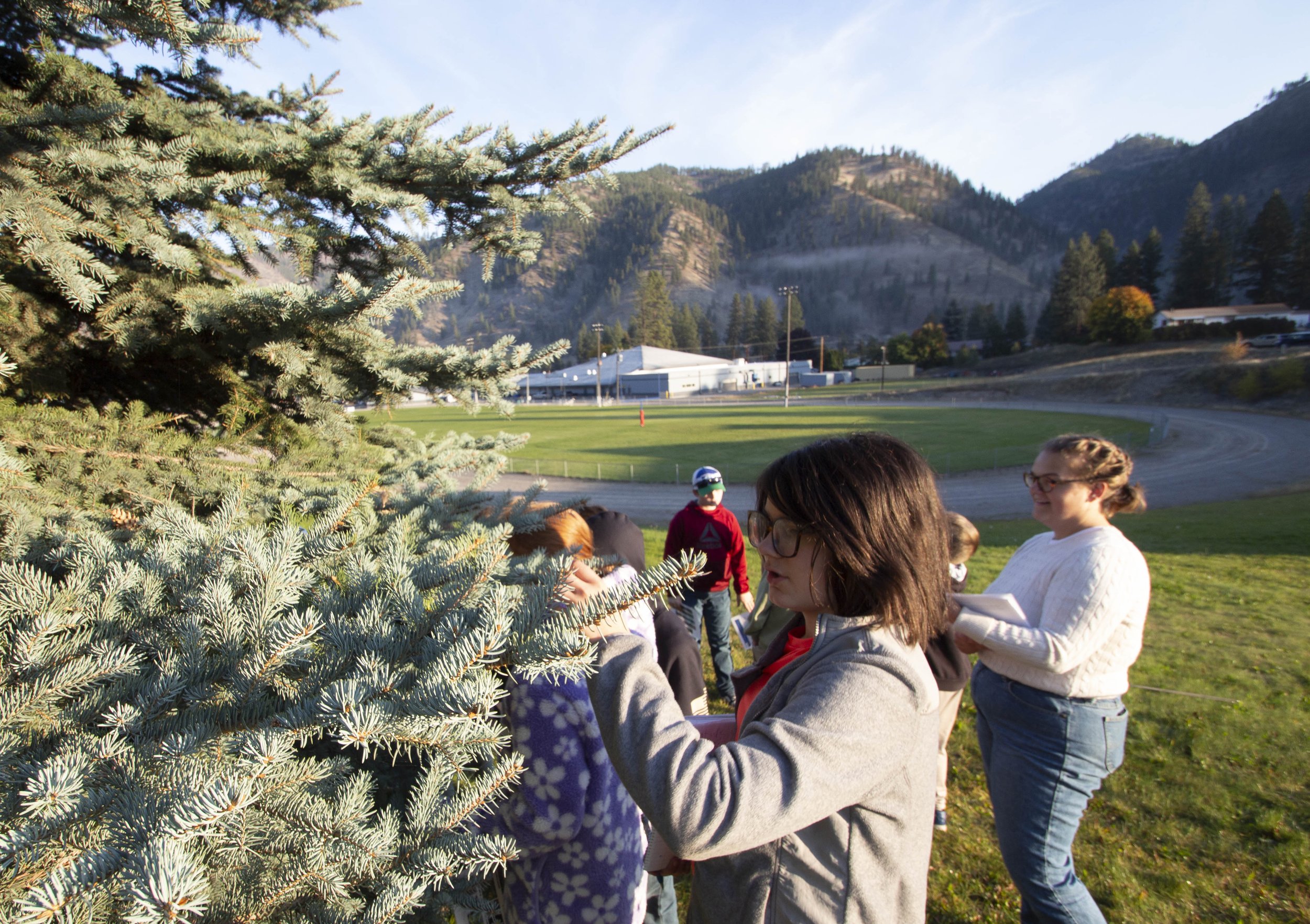 tree touchin 2.jpg