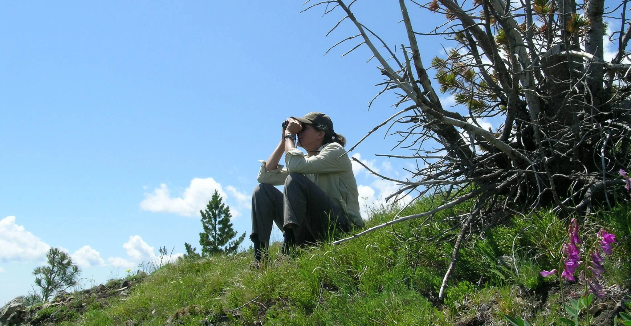 Clare Glassing.jpg