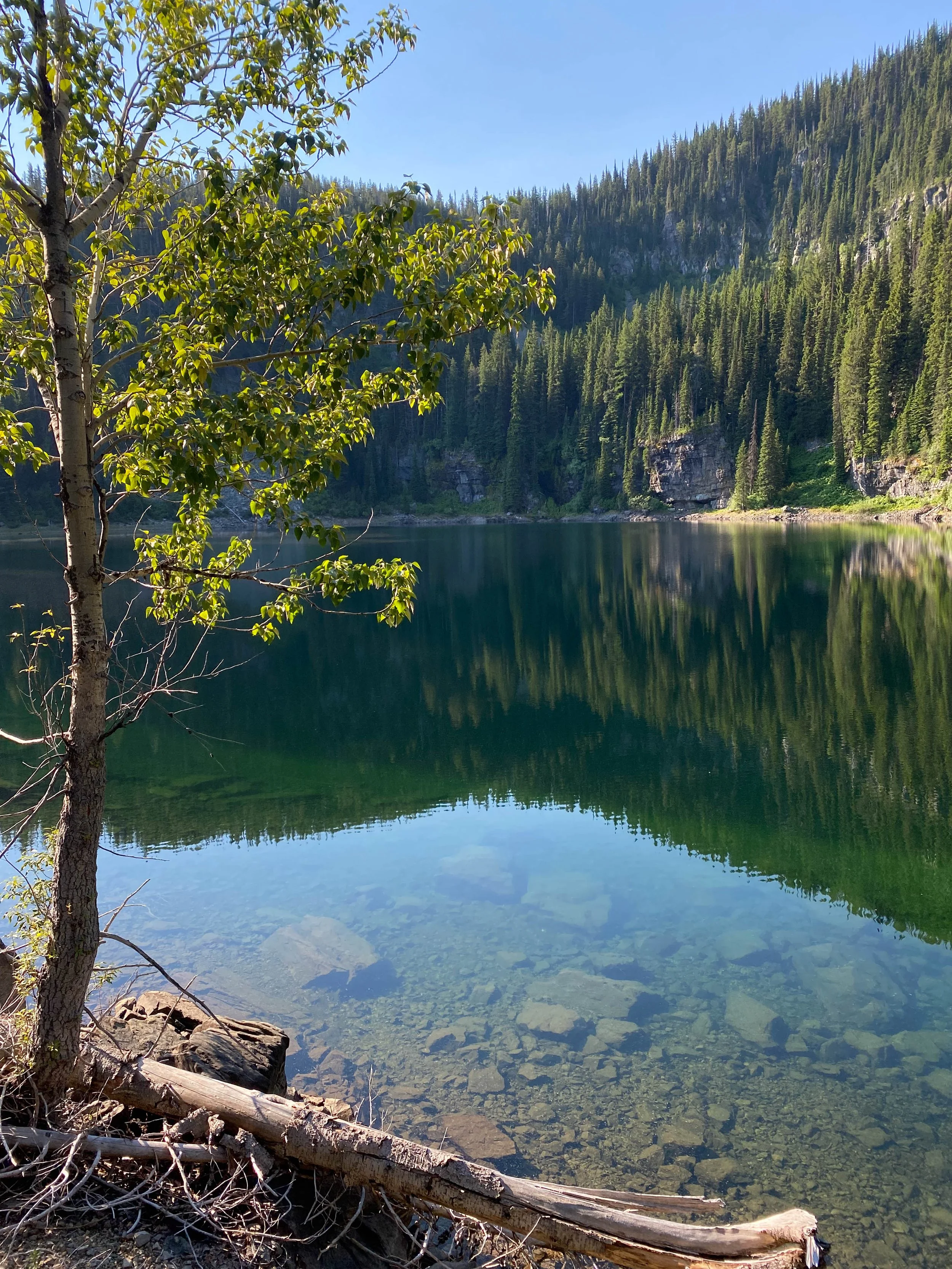 Clear Water.jpg