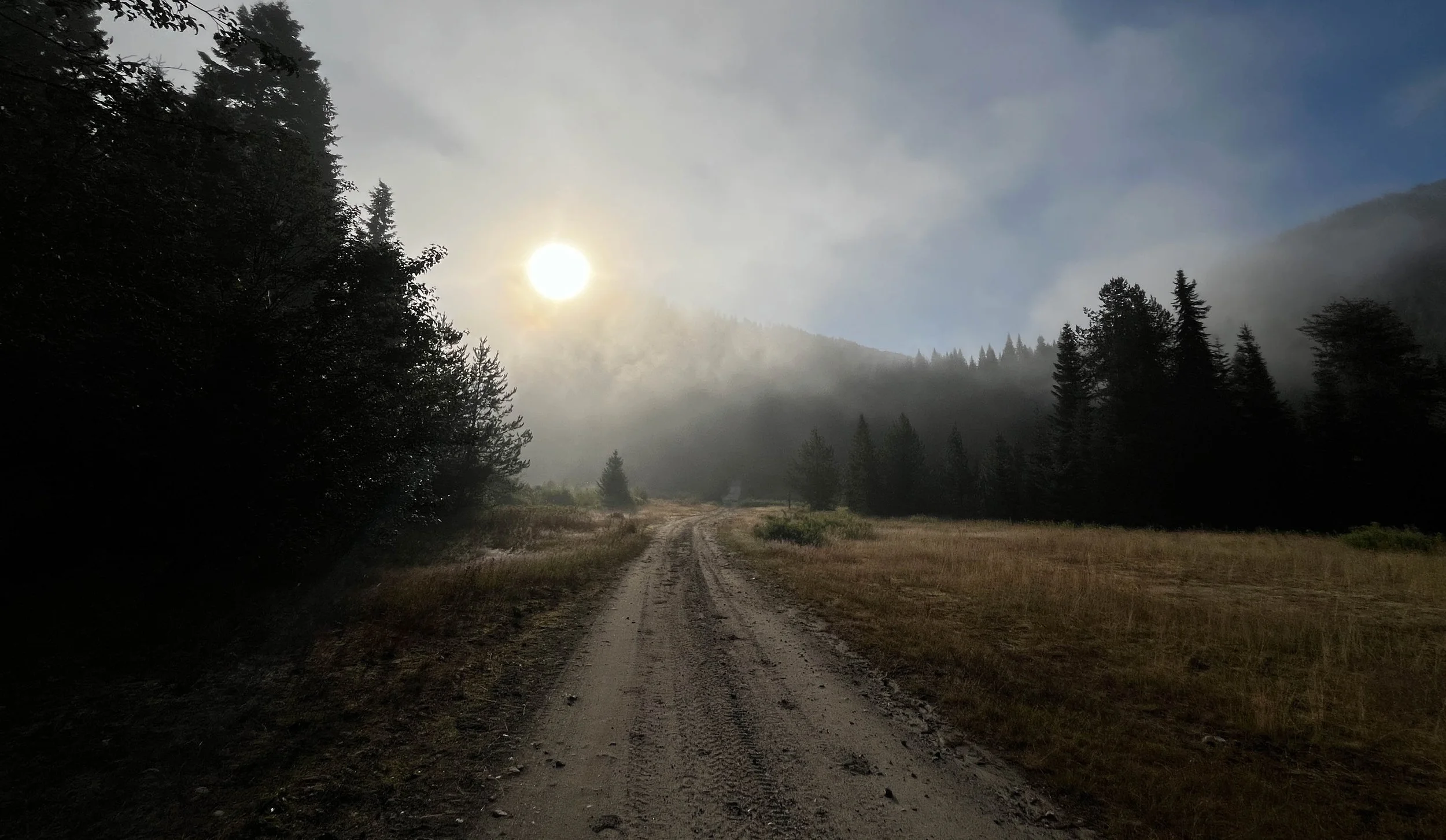 Morning Fog.jpg