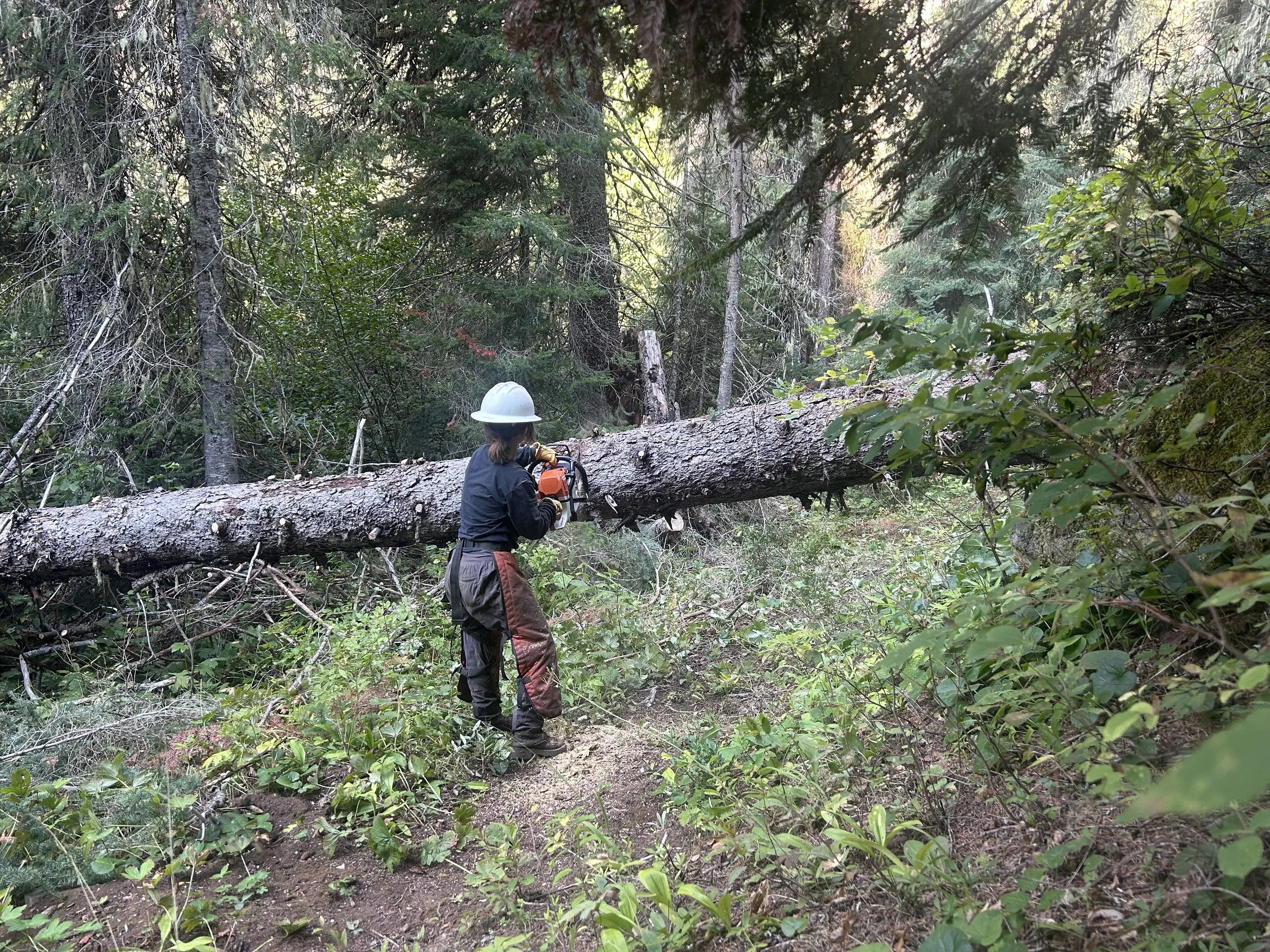 Esther cutting log (5) (1).jpg